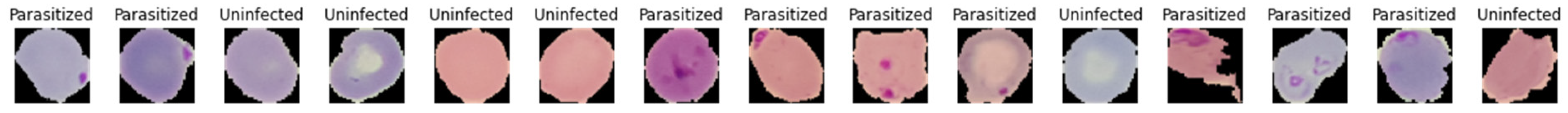 Bioengineering 11 00340 g005