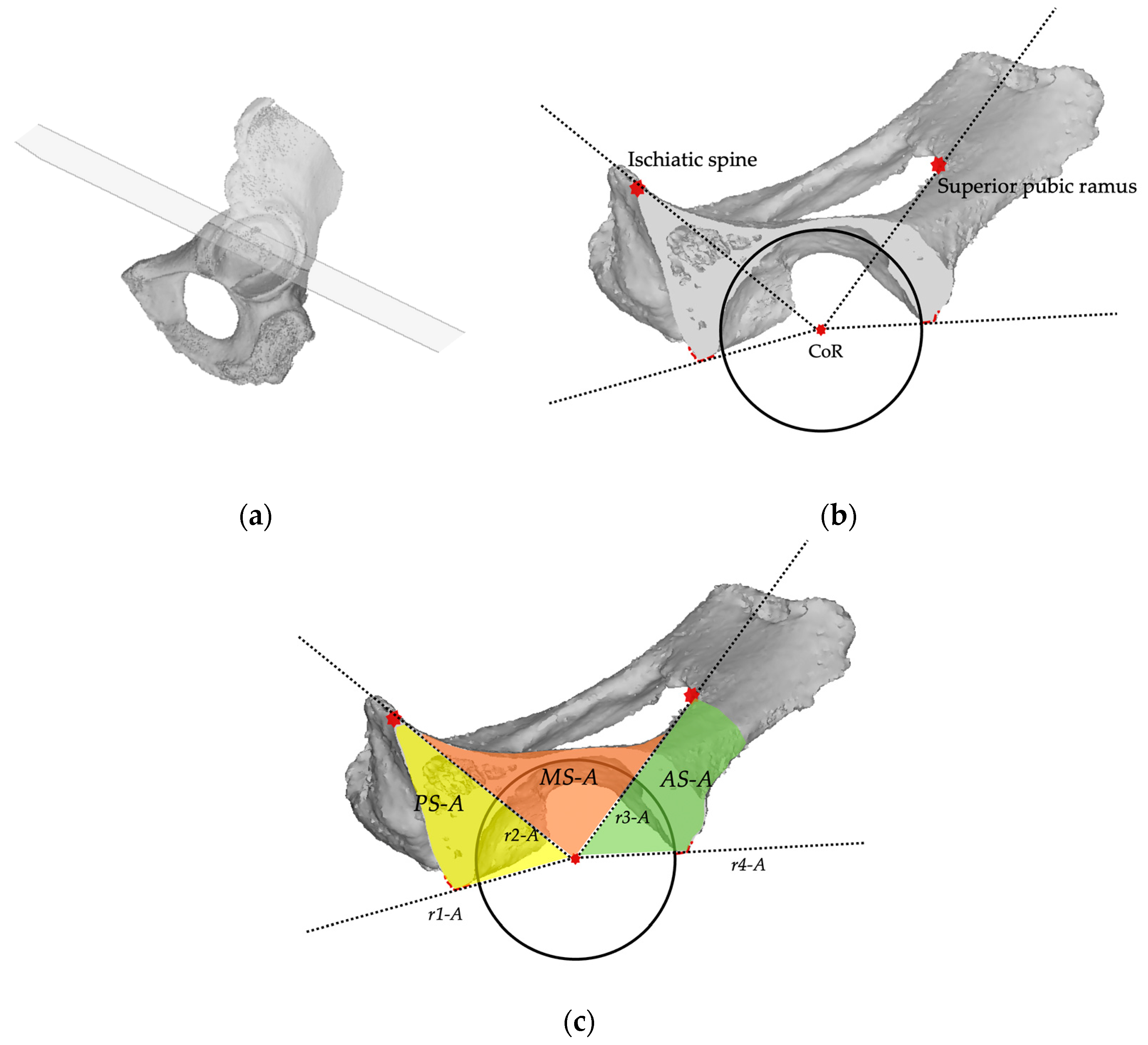 Bioengineering 11 00341 g004