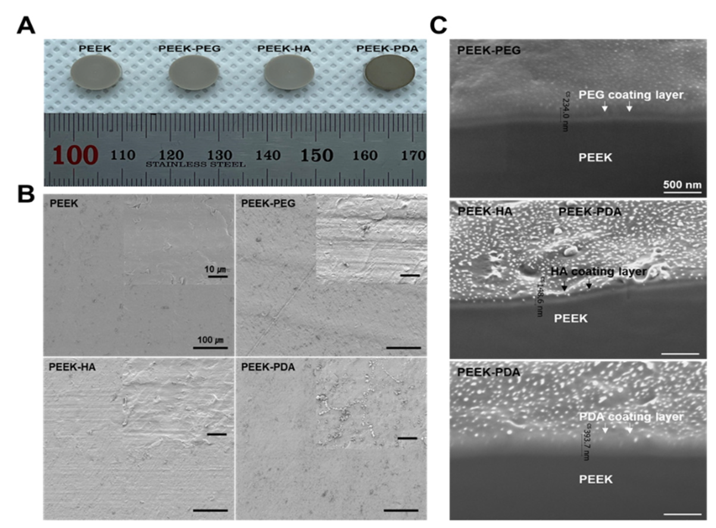 Bioengineering 11 00343 g002