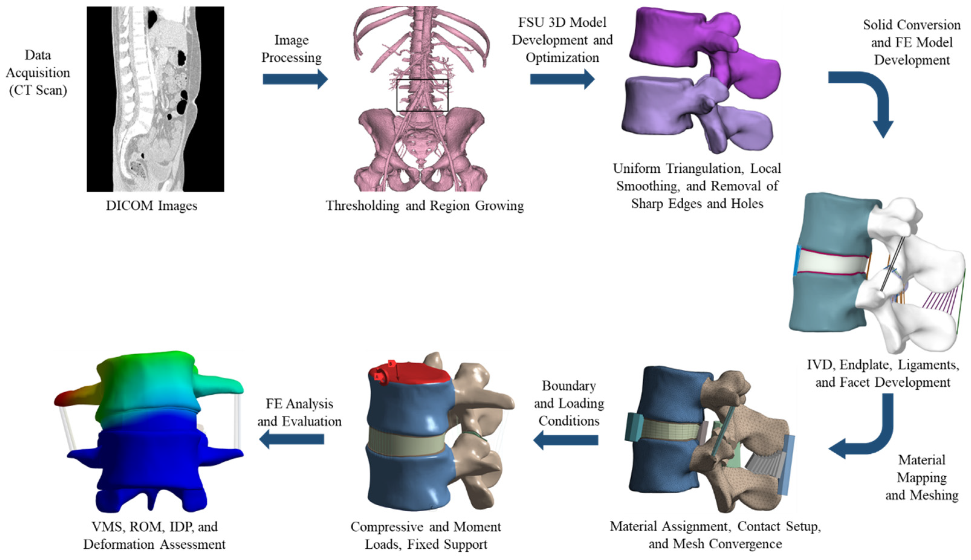 Bioengineering 11 00344 g001