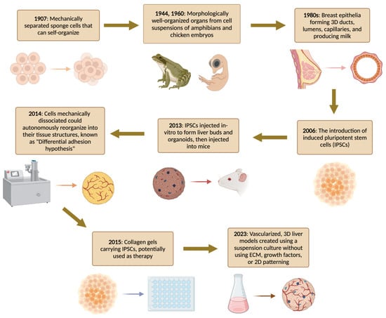 Bioengineering 11 00346 g001