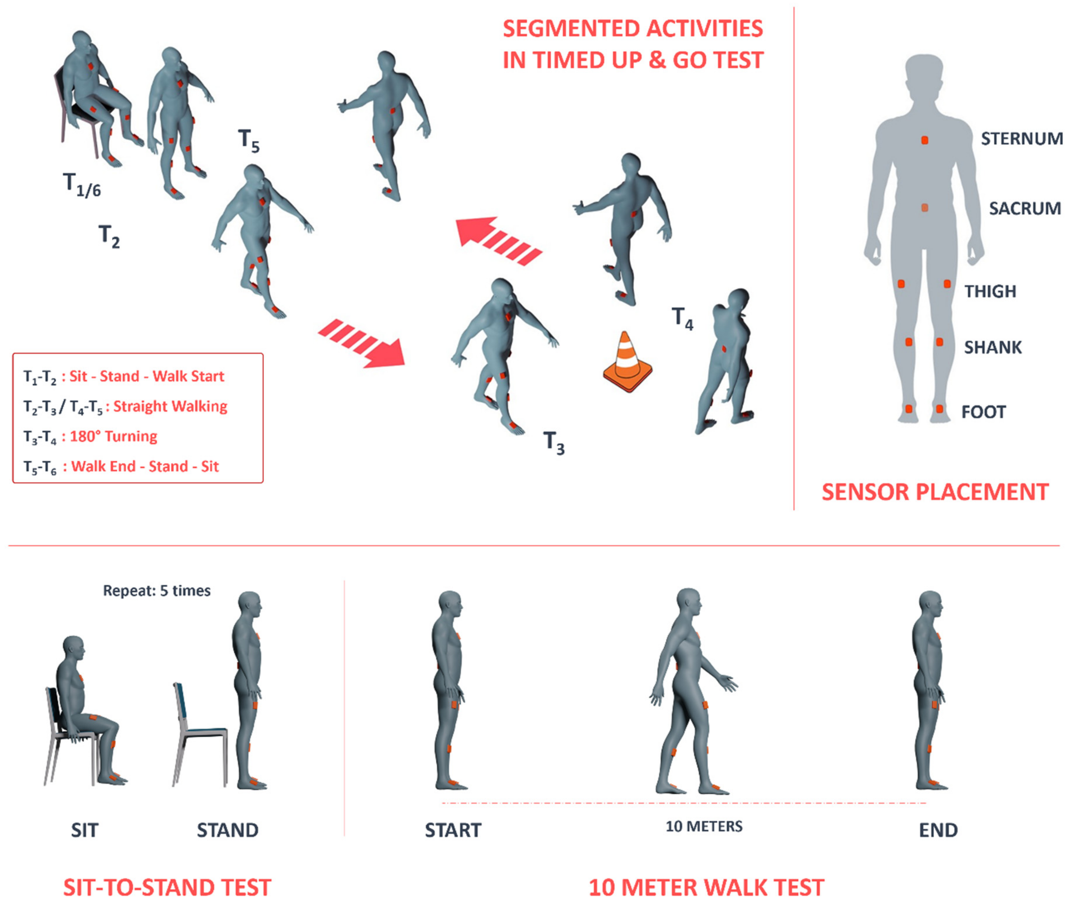 Bioengineering 11 00349 g001
