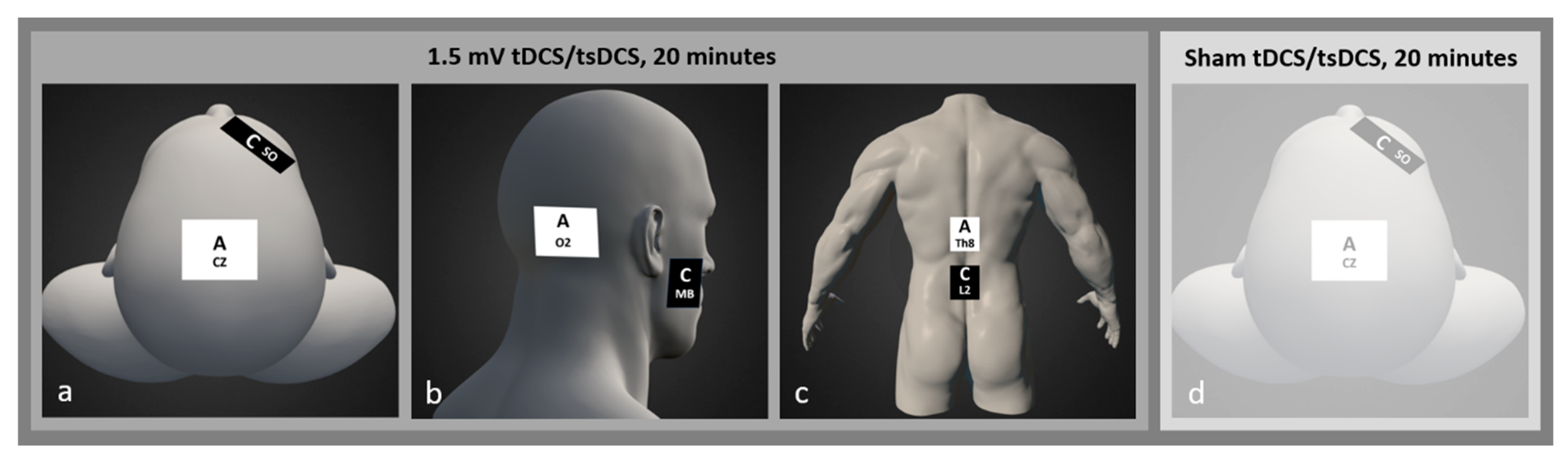 Bioengineering 11 00353 g001