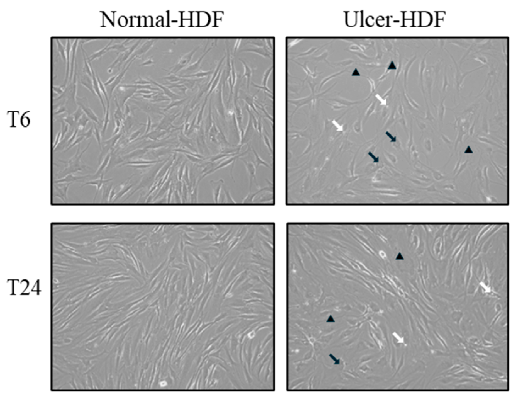 Bioengineering 11 00357 g001