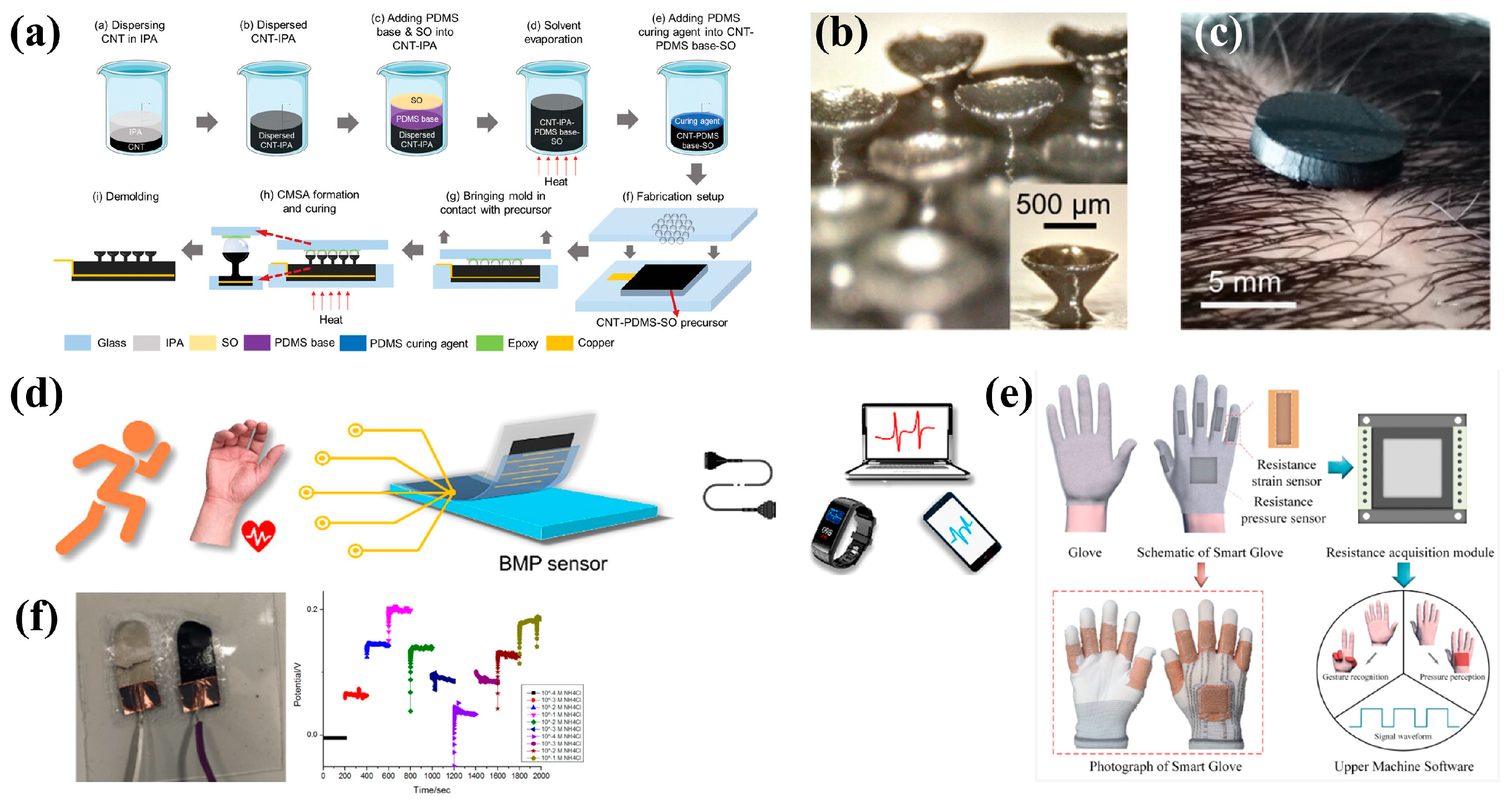 Bioengineering 11 00358 g001