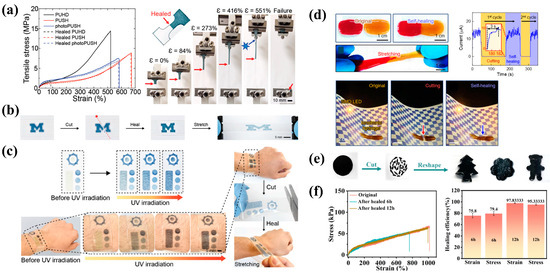 Bioengineering 11 00358 g003