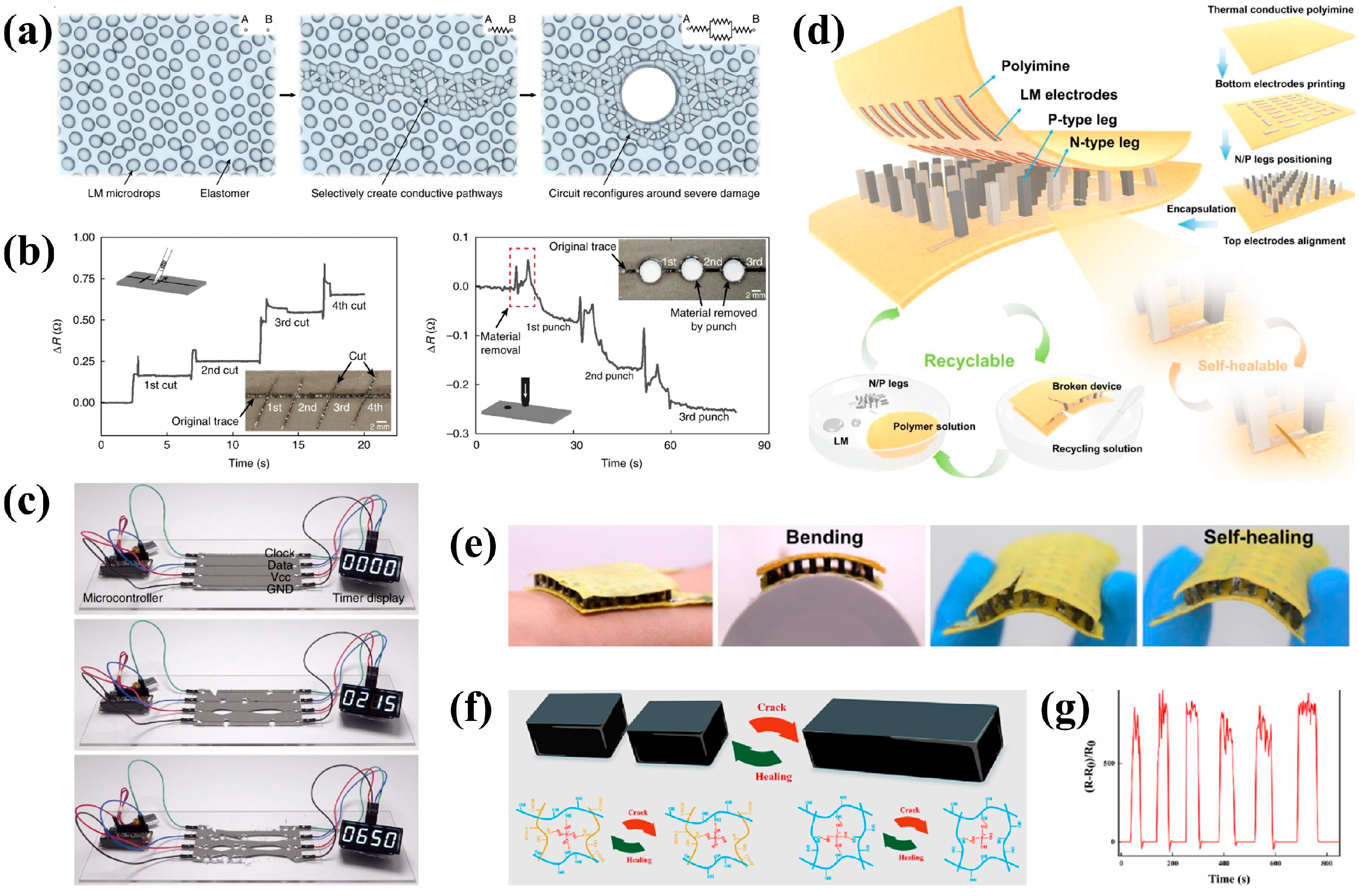 Bioengineering 11 00358 g004