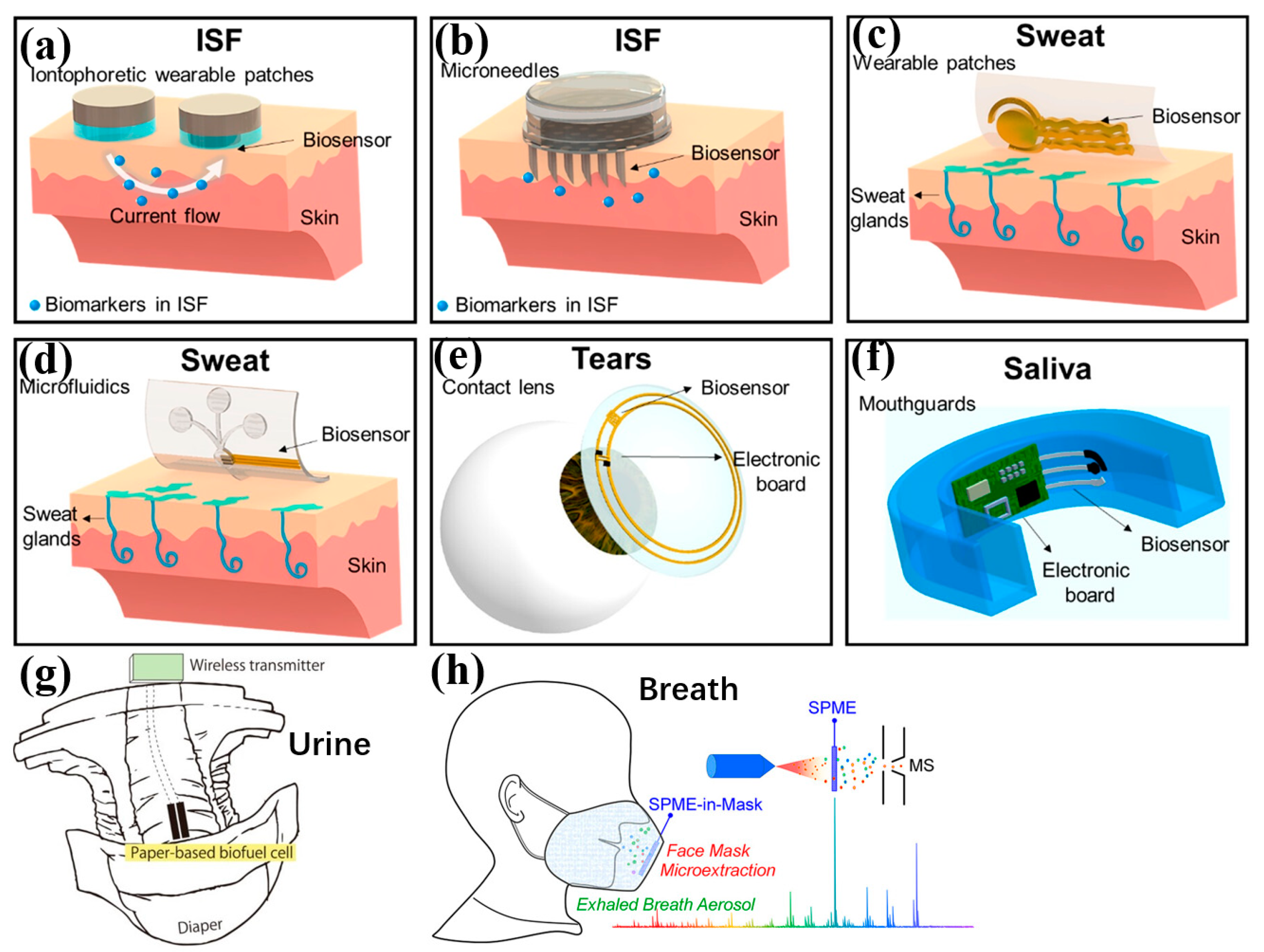 Bioengineering 11 00358 g007