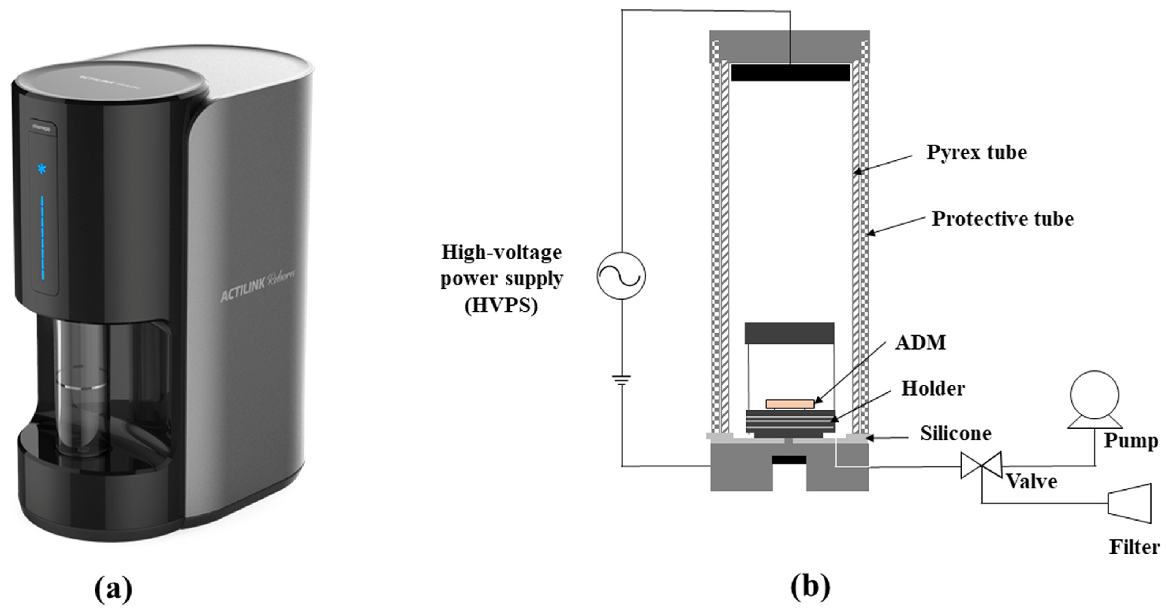 Bioengineering 11 00359 g001 Bioengineering 11 00359 g001