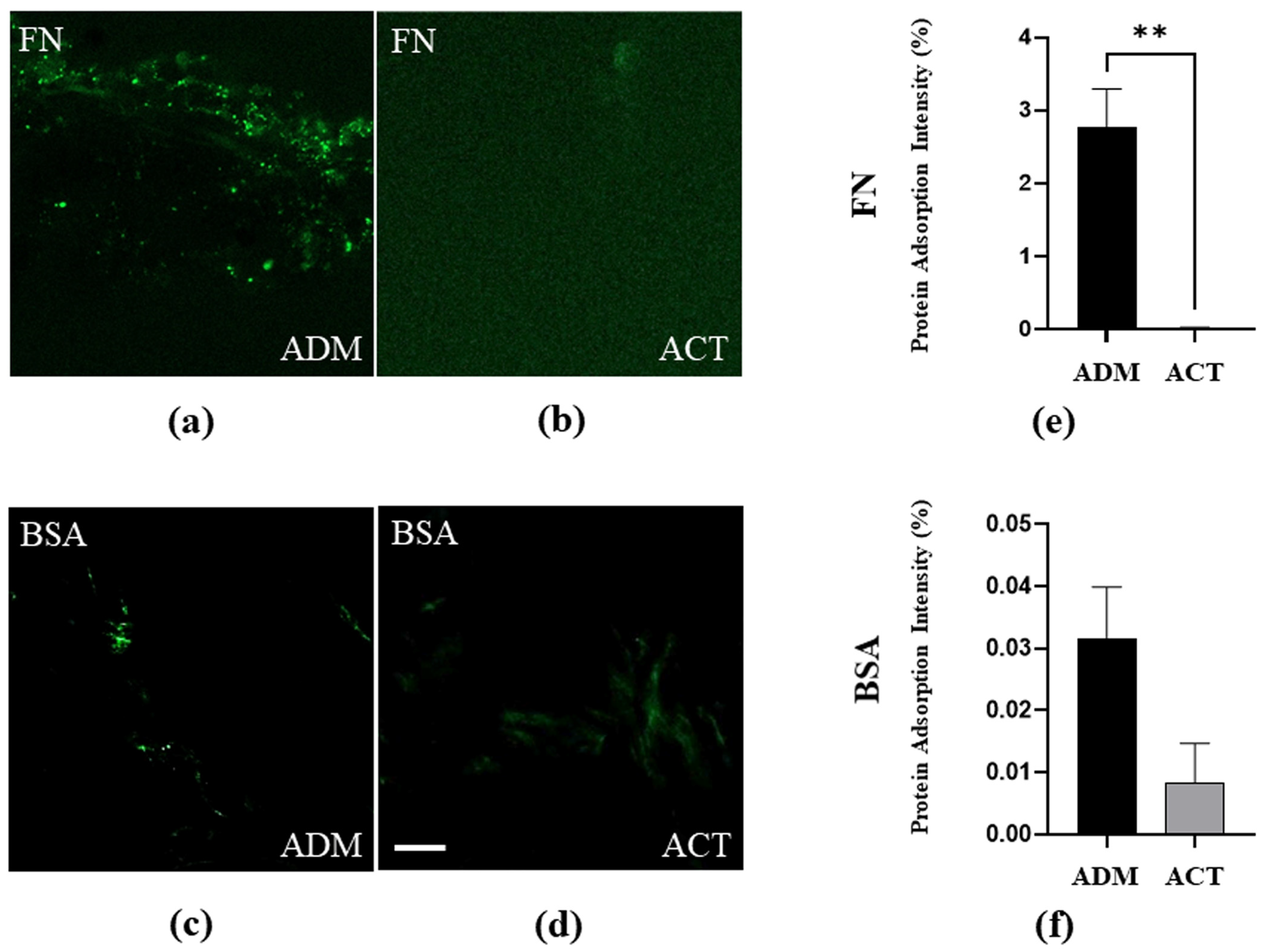Bioengineering 11 00359 g004 Bioengineering 11 00359 g004