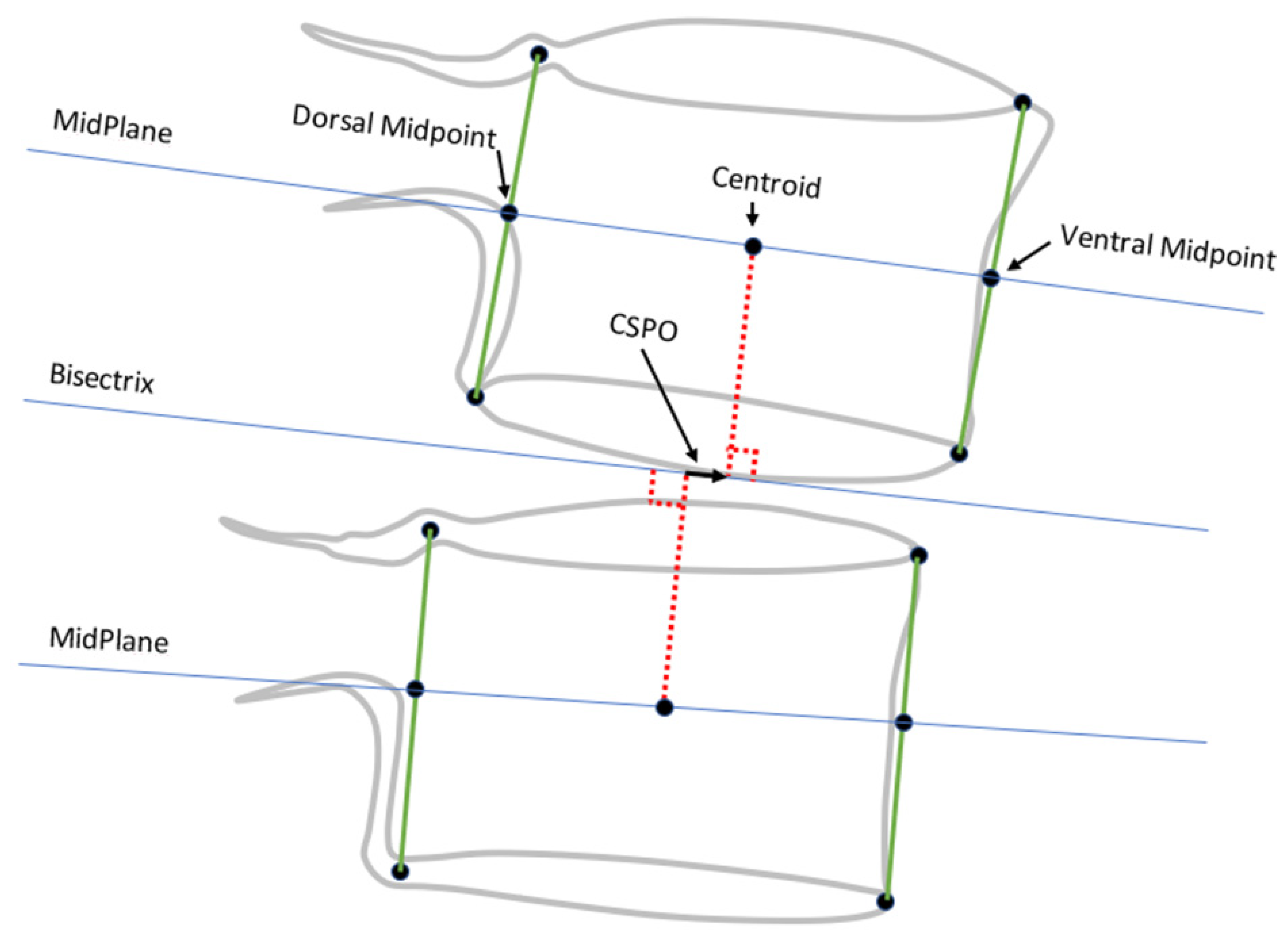 Bioengineering 11 00360 g003 Bioengineering 11 00360 g003
