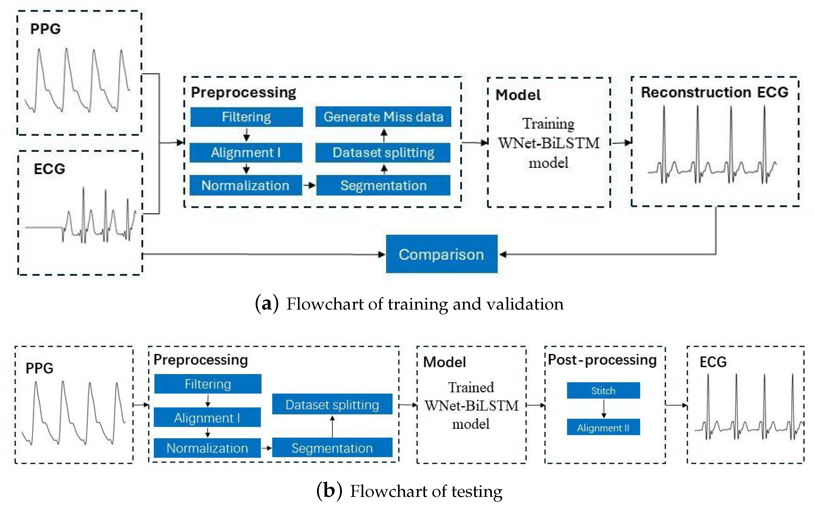 Bioengineering 11 00365 g001