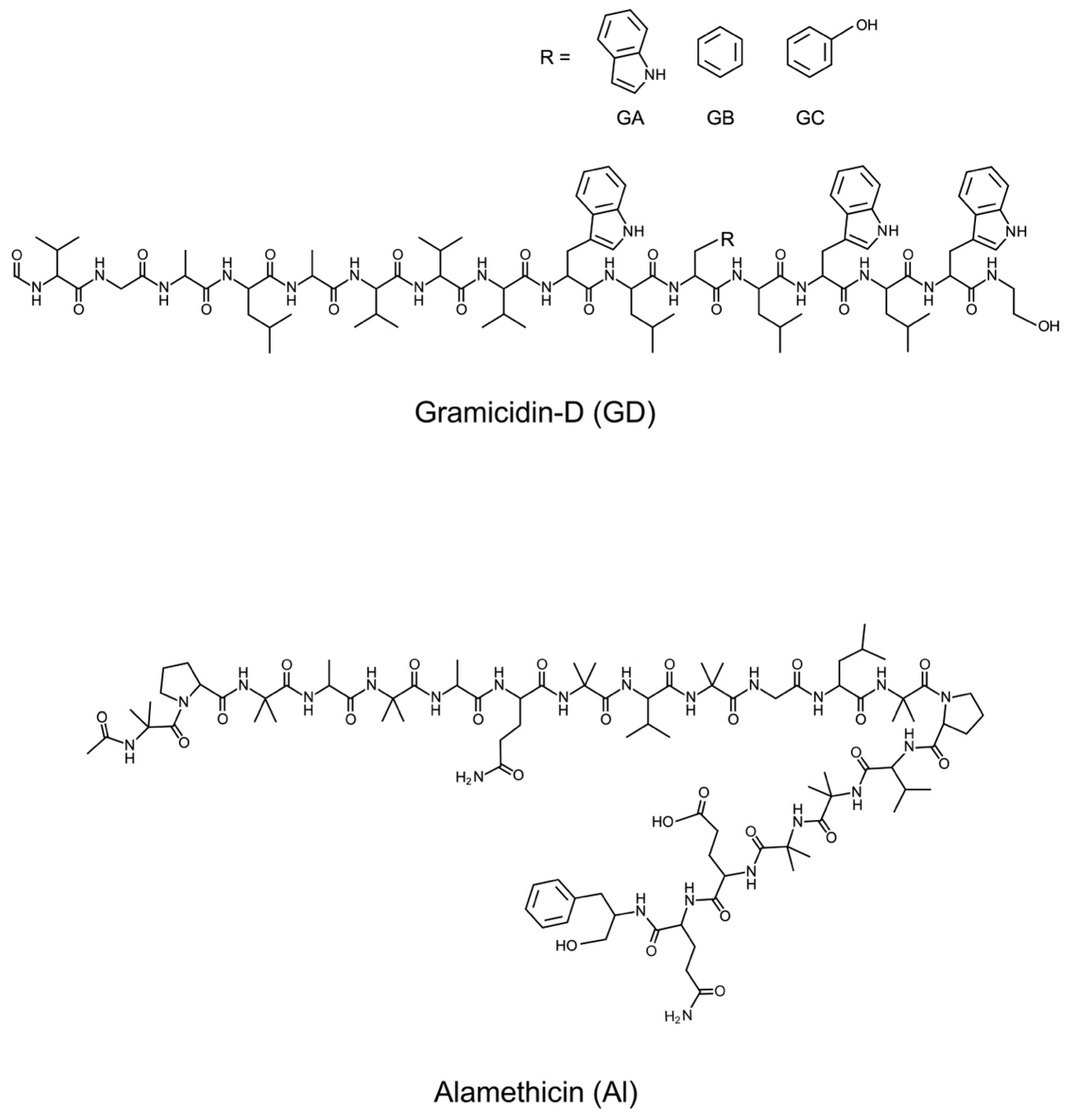Bioengineering 11 00366 g001