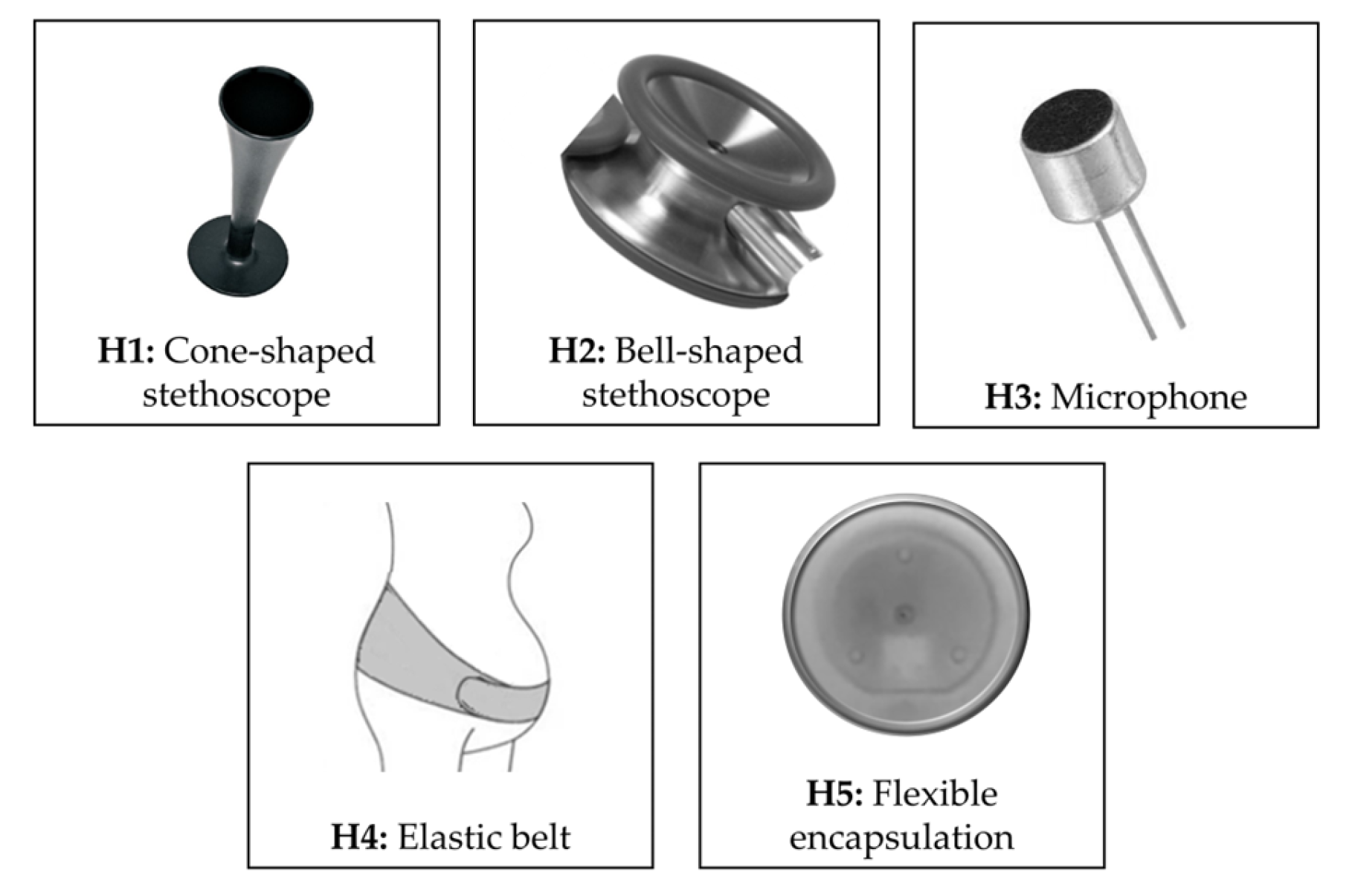 Bioengineering 11 00367 g005 Bioengineering 11 00367 g005