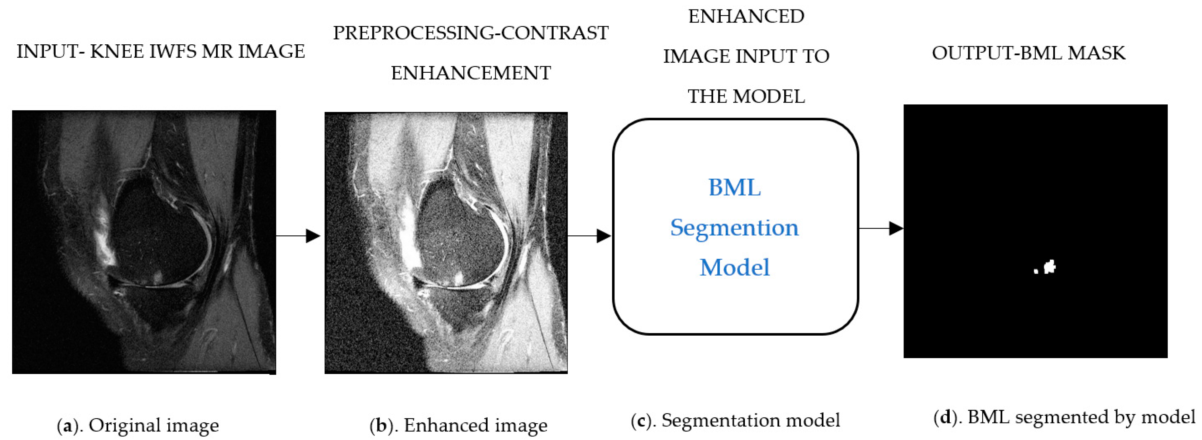Bioengineering 11 00374 g002