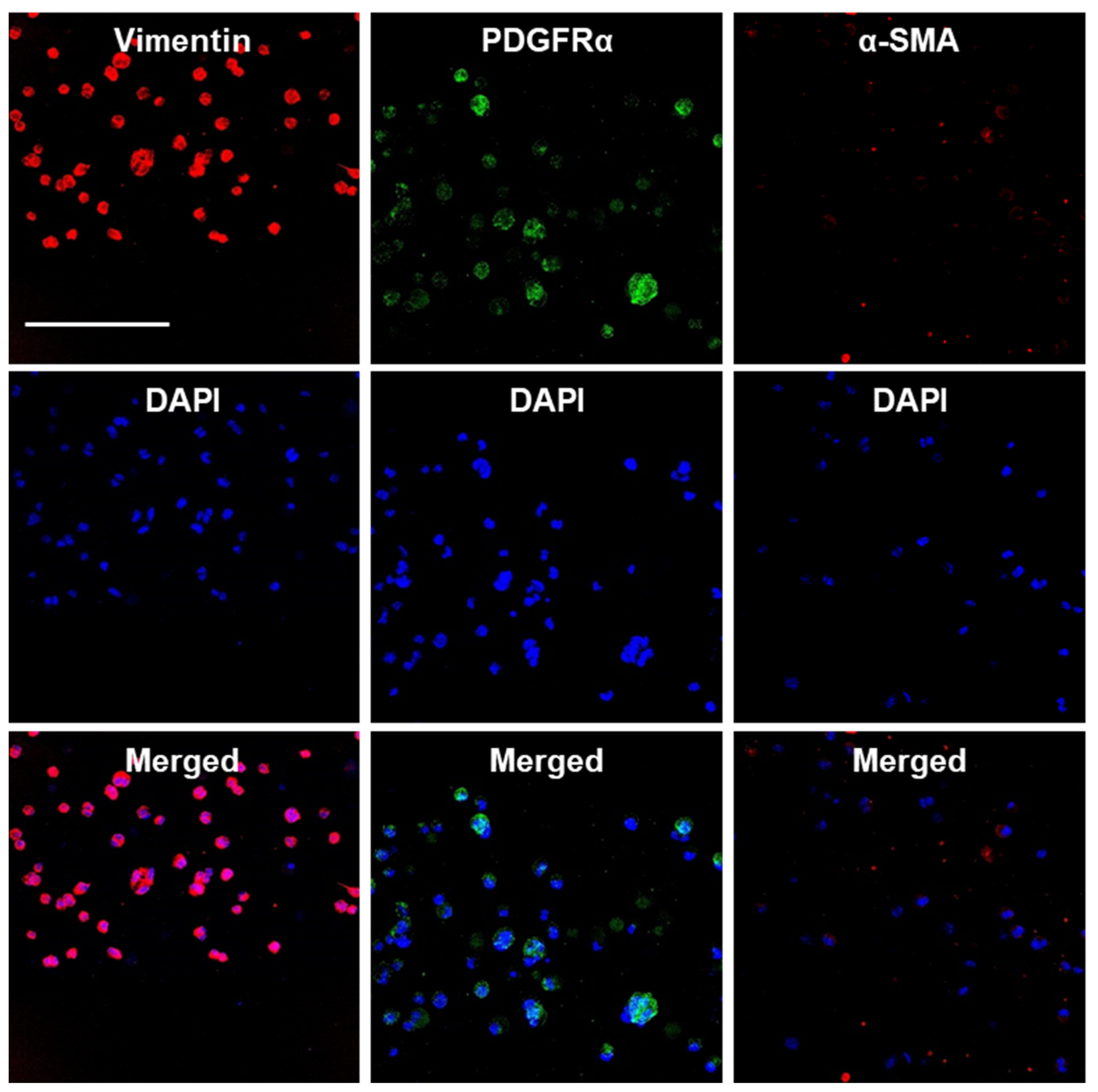 Bioengineering 11 00375 g006 Bioengineering 11 00375 g006