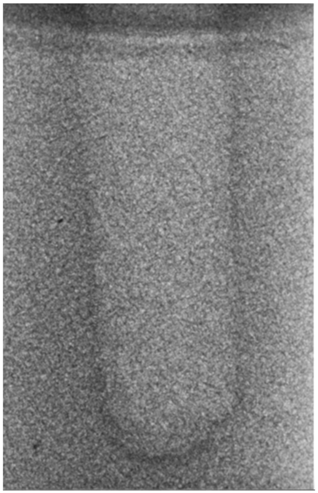 Bioengineering 11 00383 g007
