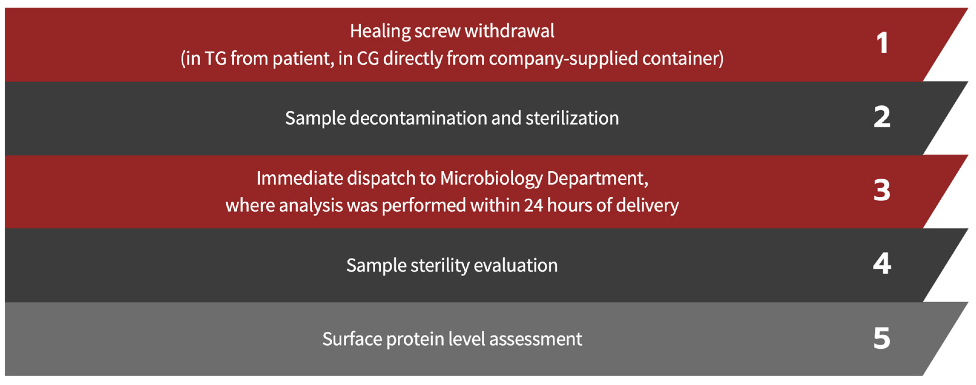 Bioengineering 11 00387 g001