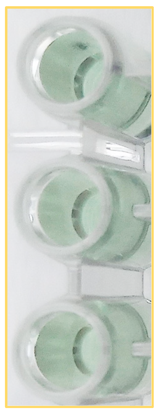 Bioengineering 11 00387 g005