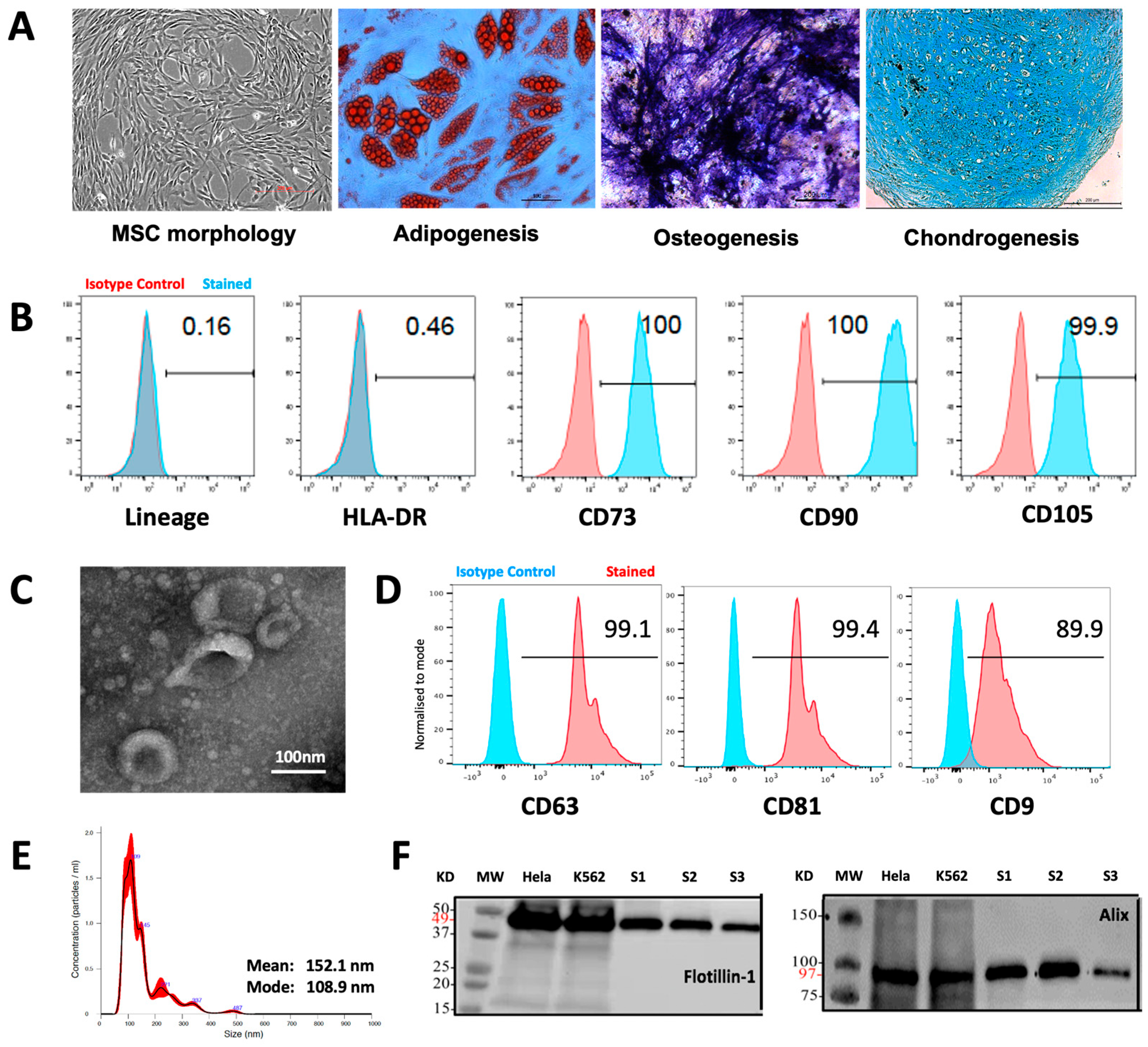Bioengineering 11 00388 g001
