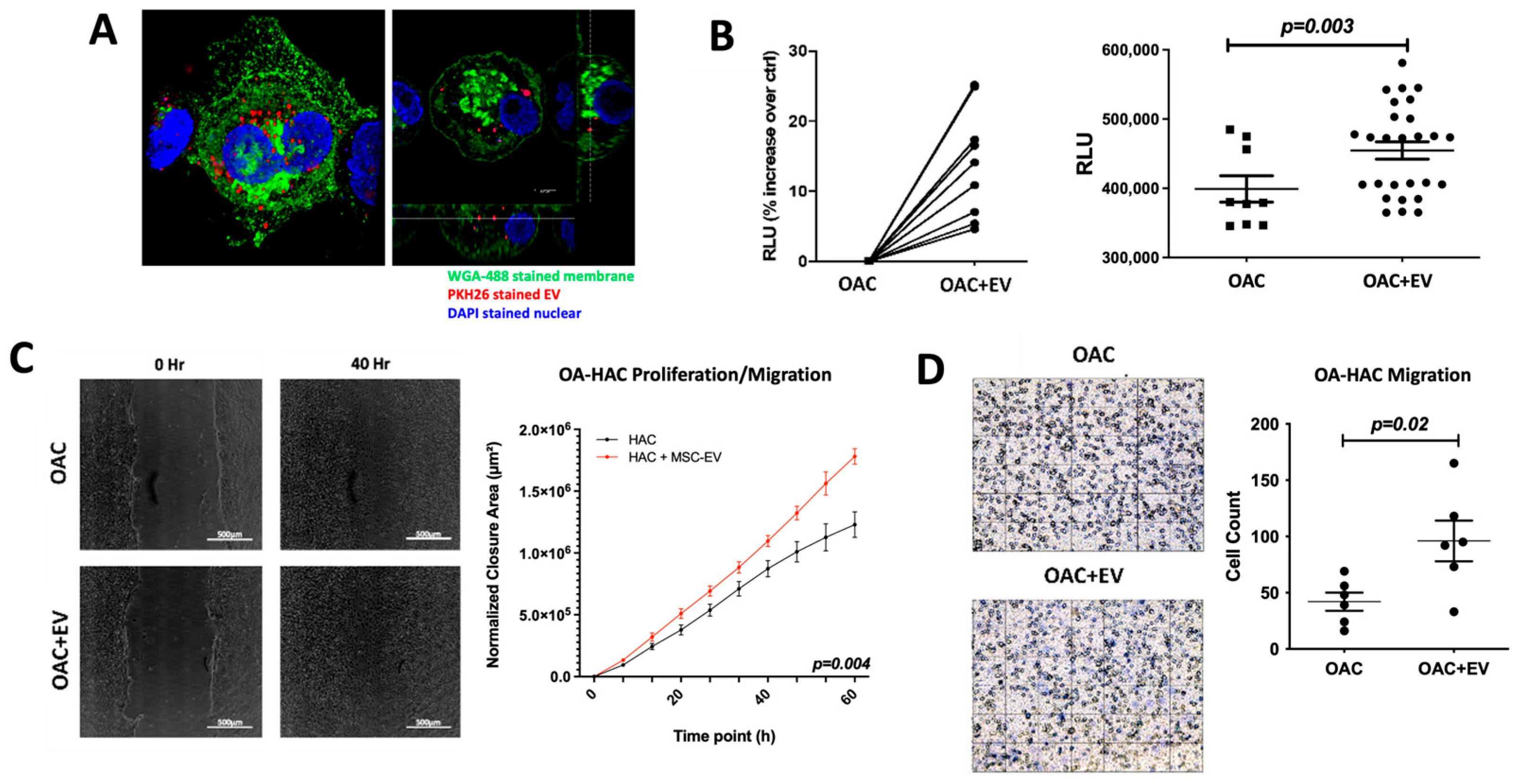 Bioengineering 11 00388 g002