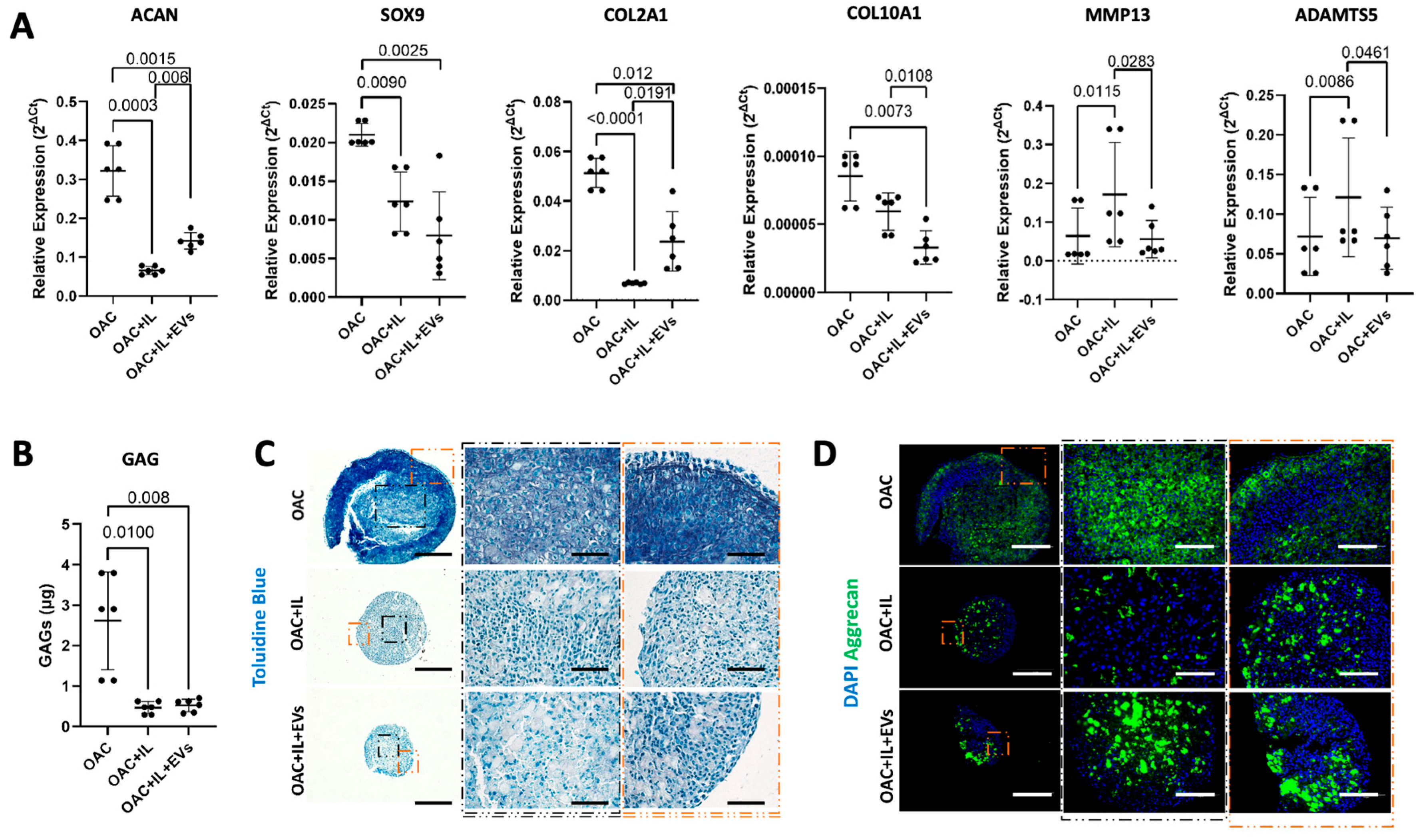 Bioengineering 11 00388 g005