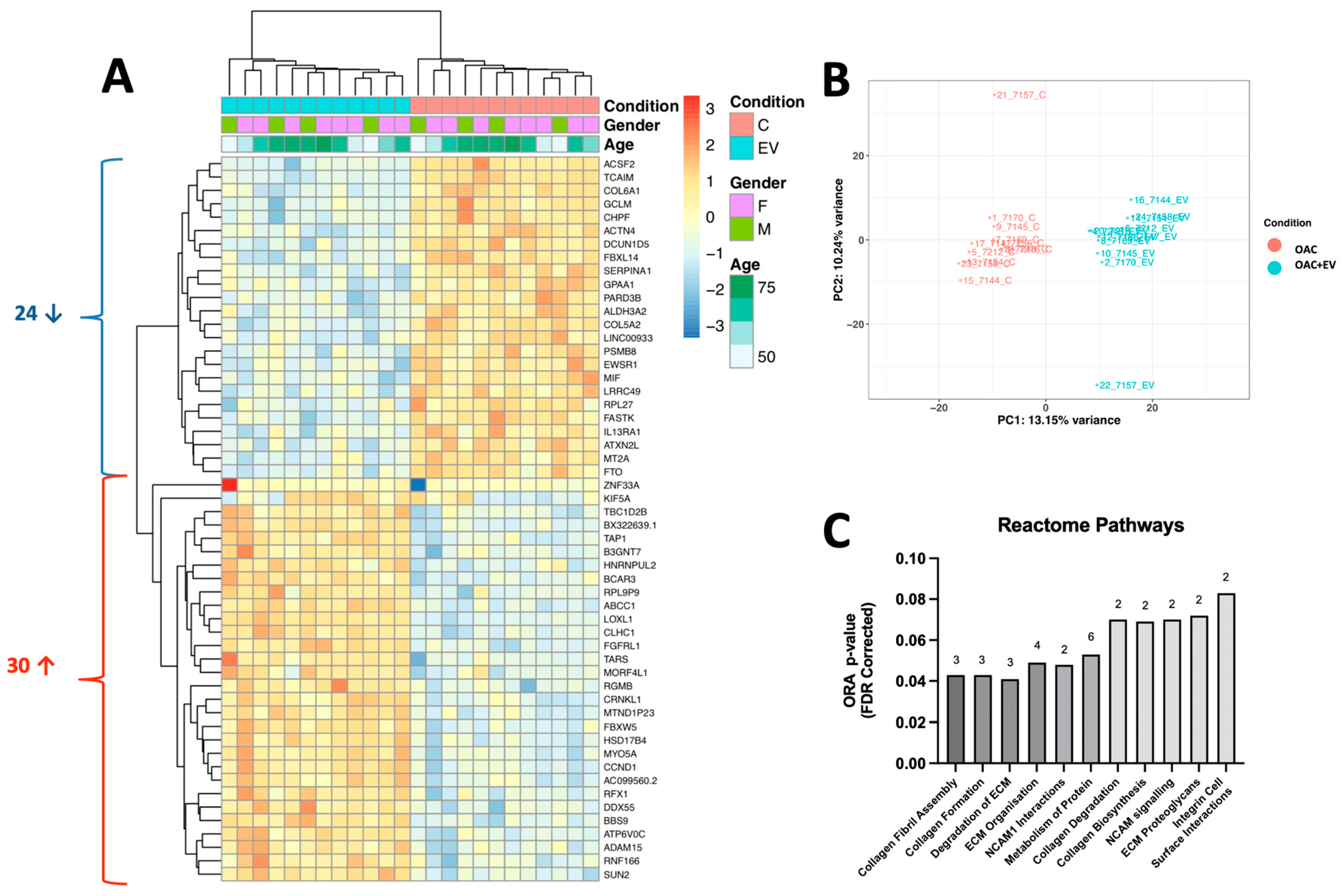 Bioengineering 11 00388 g006