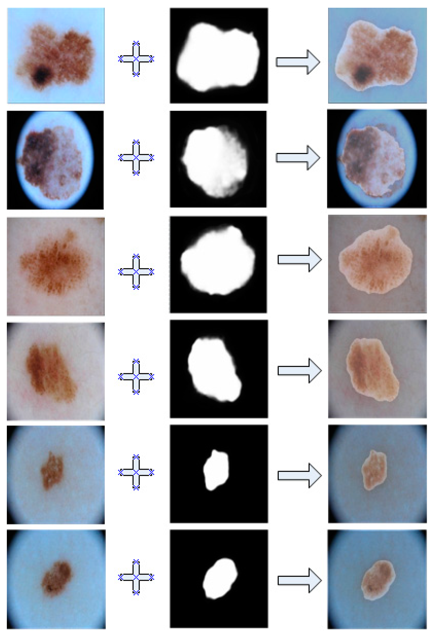 Bioengineering 11 00390 g005