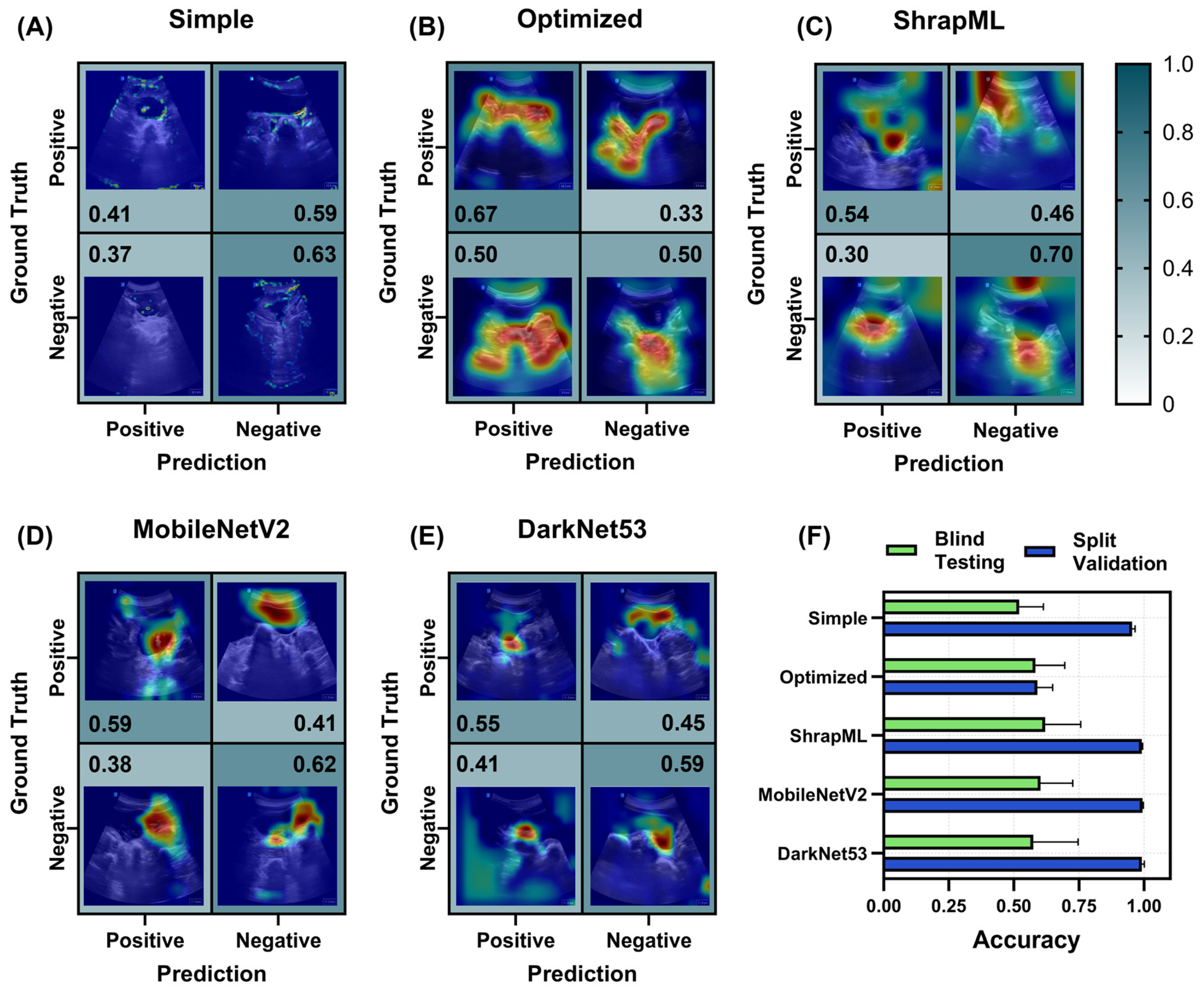 Bioengineering 11 00392 g006