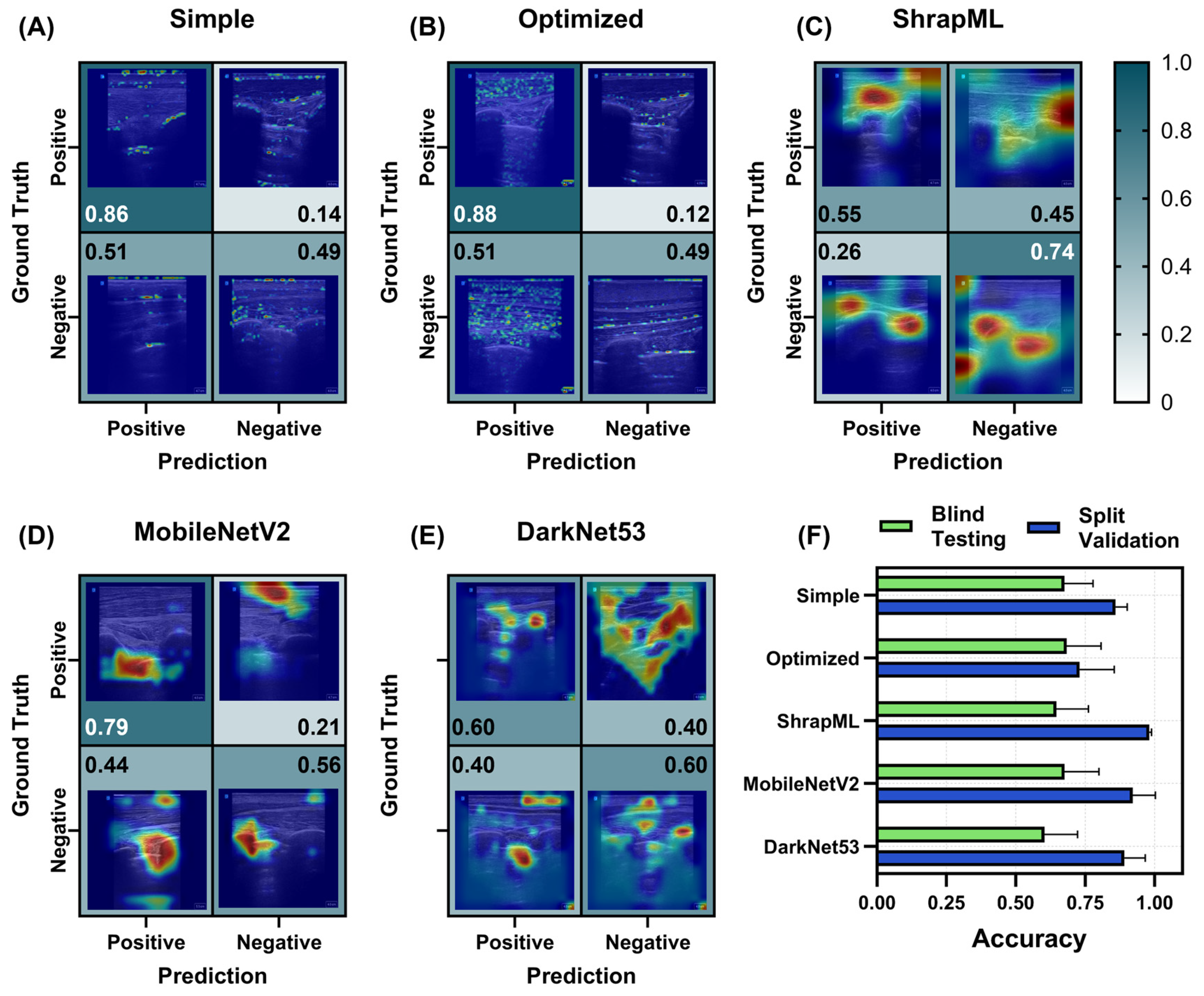 Bioengineering 11 00392 g007