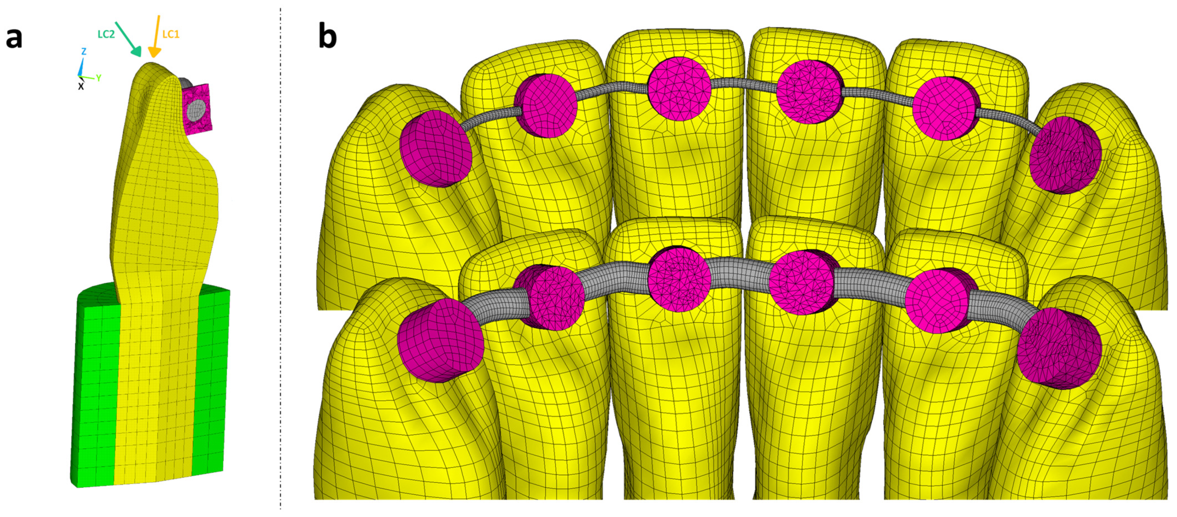 Bioengineering 11 00394 g002