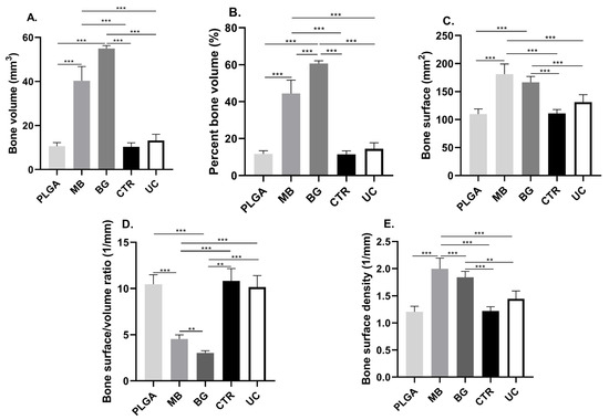 Bioengineering 11 00397 g003