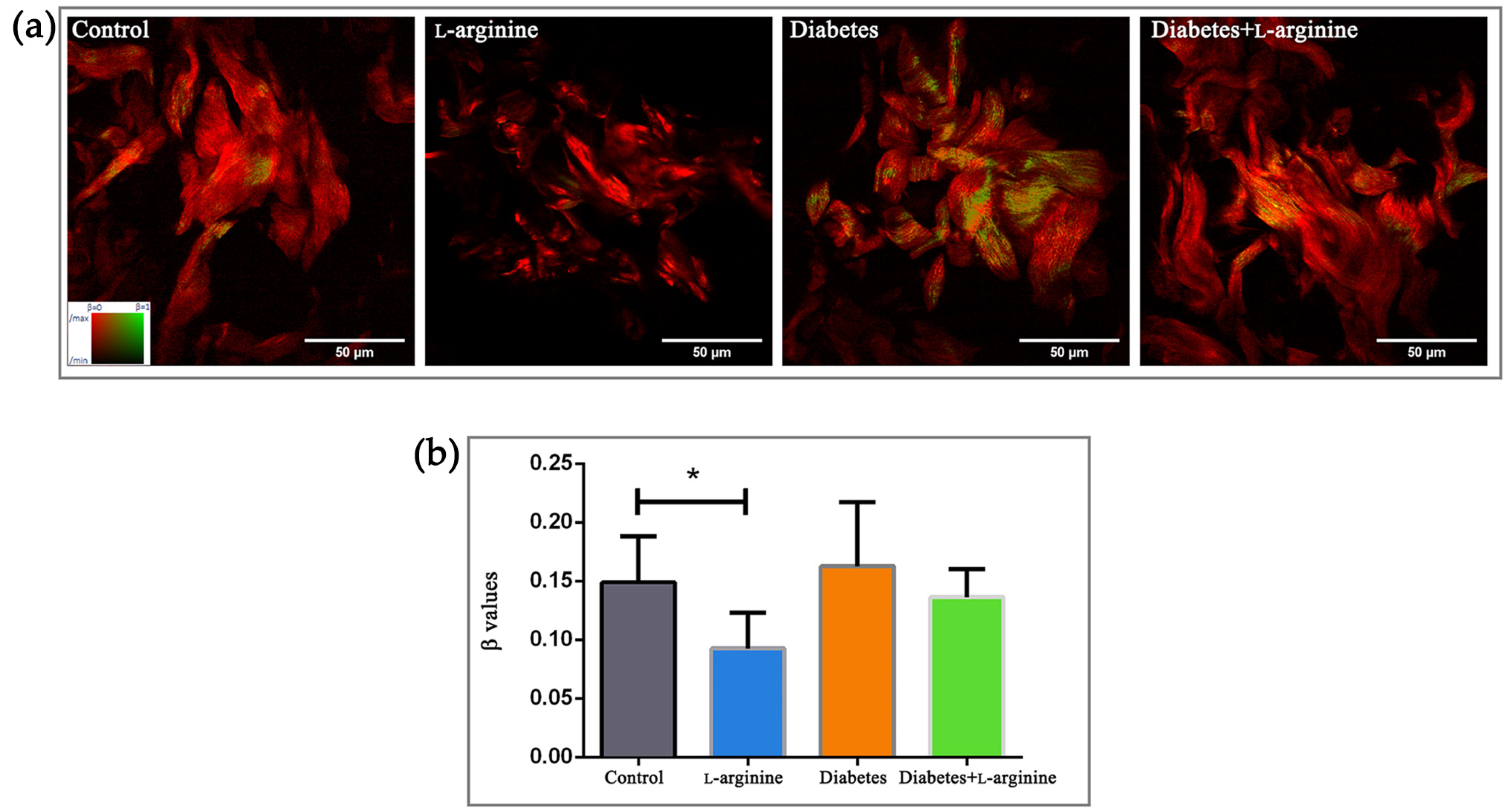 Bioengineering 11 00407 g001