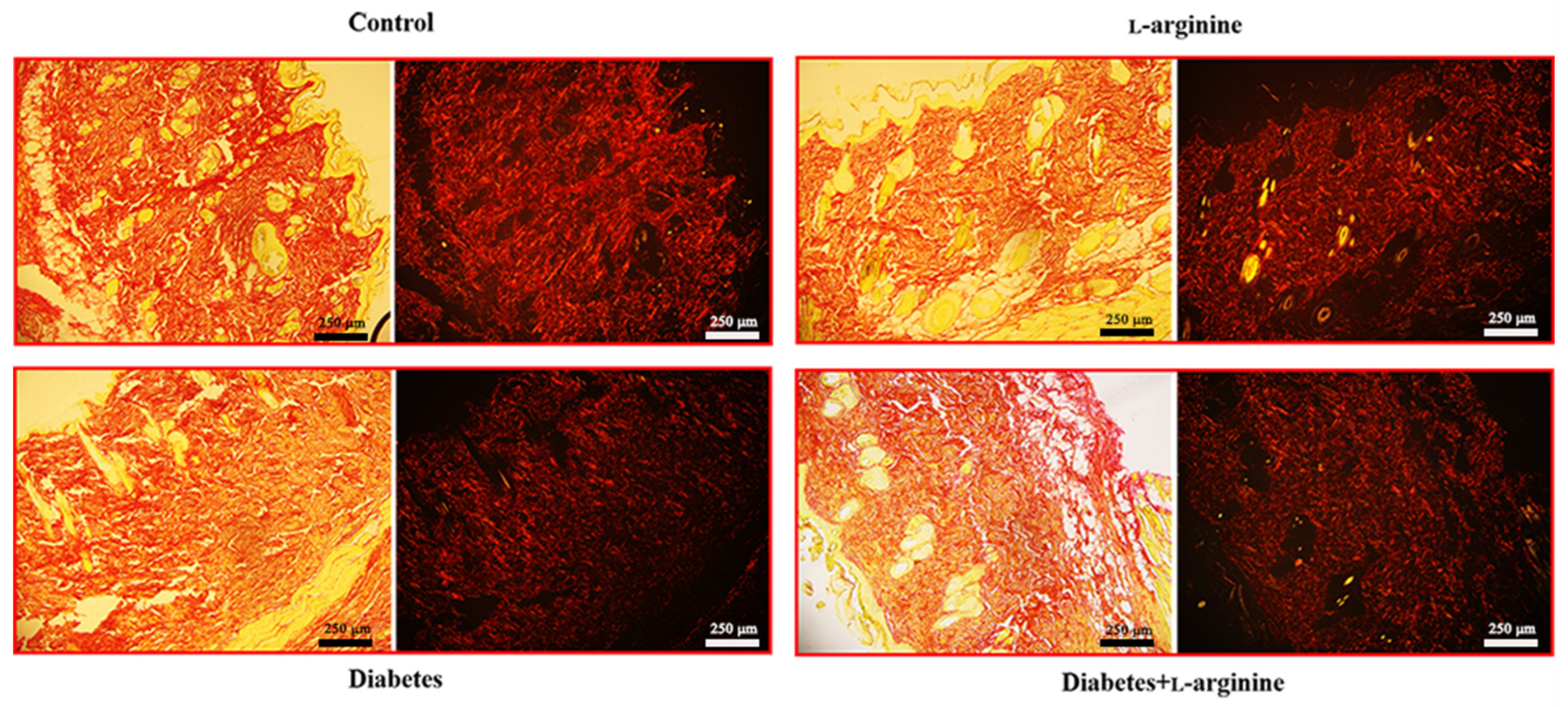 Bioengineering 11 00407 g005
