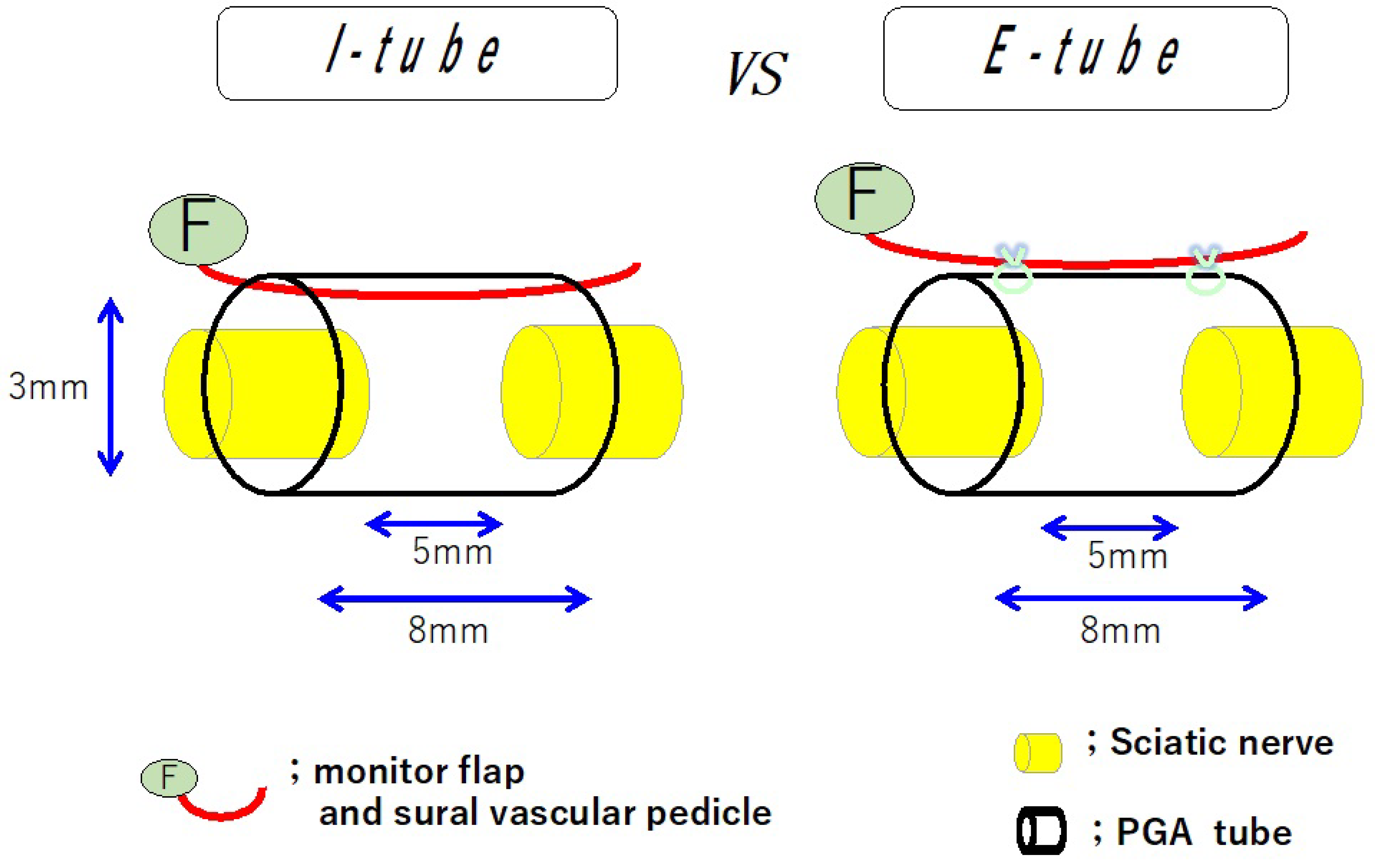 Bioengineering 11 00409 g003 Bioengineering 11 00409 g003