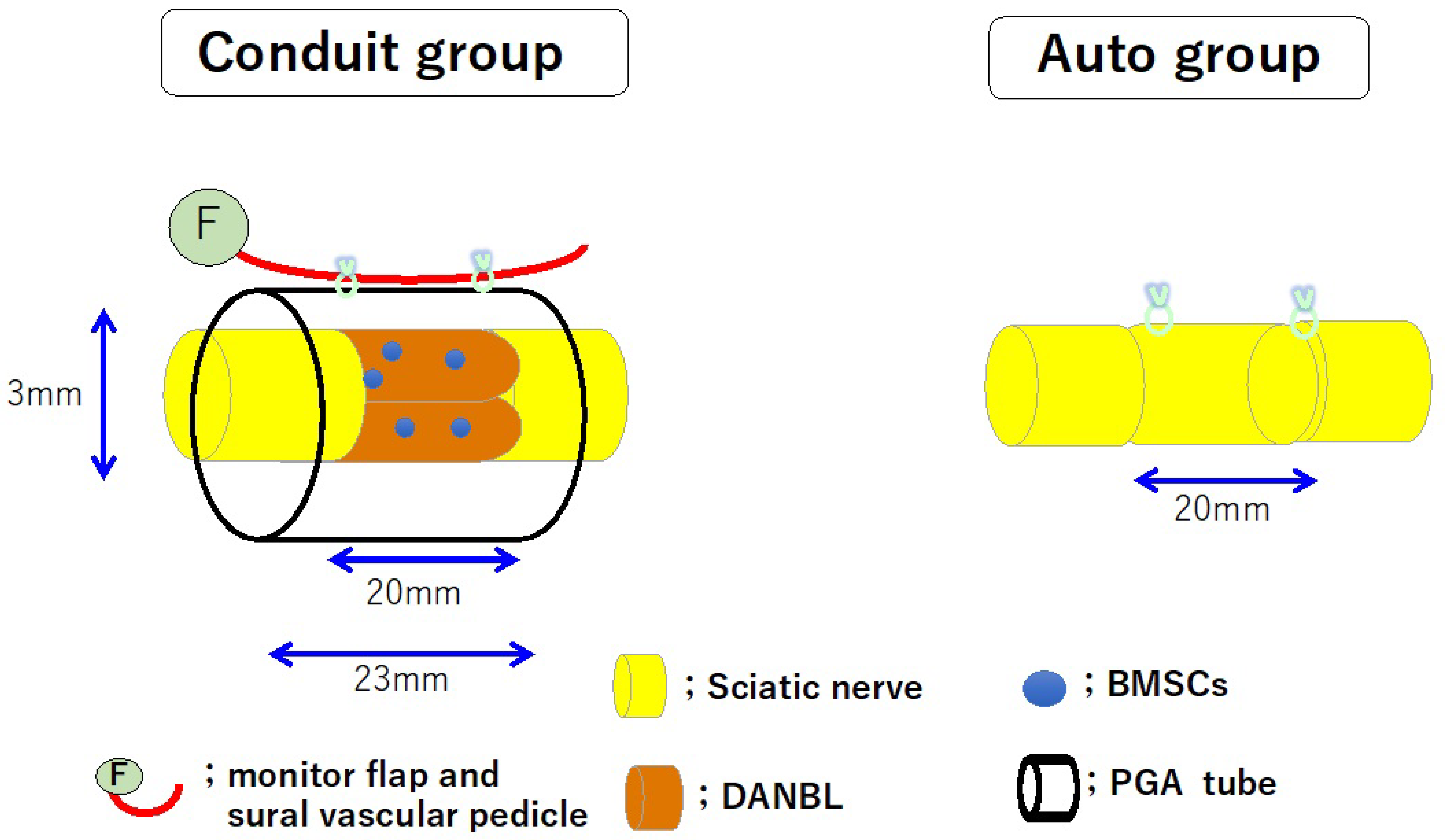 Bioengineering 11 00409 g004 Bioengineering 11 00409 g004
