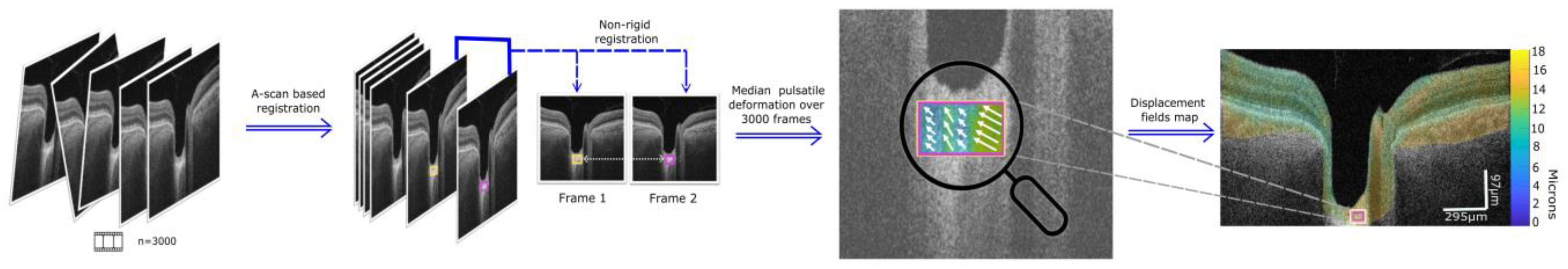 Bioengineering 11 00411 g001