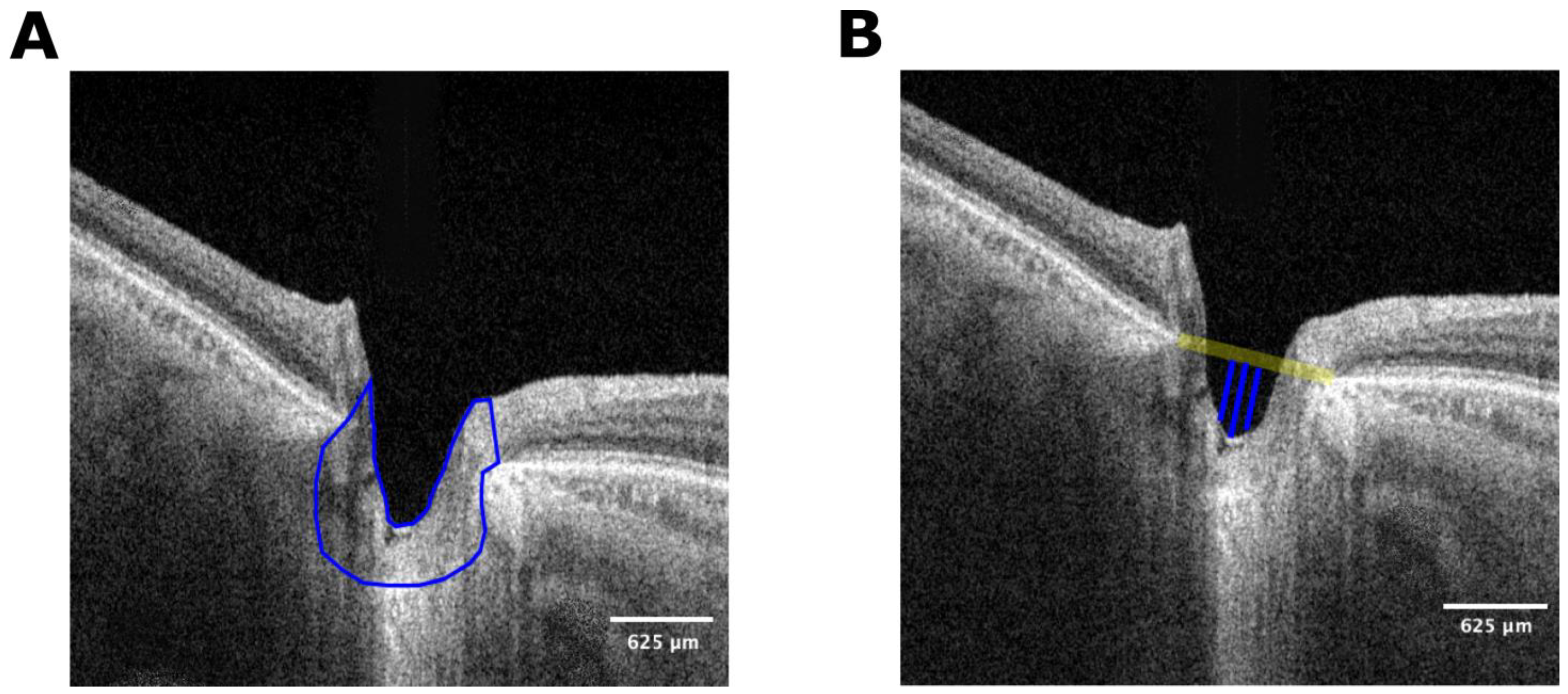 Bioengineering 11 00411 g002