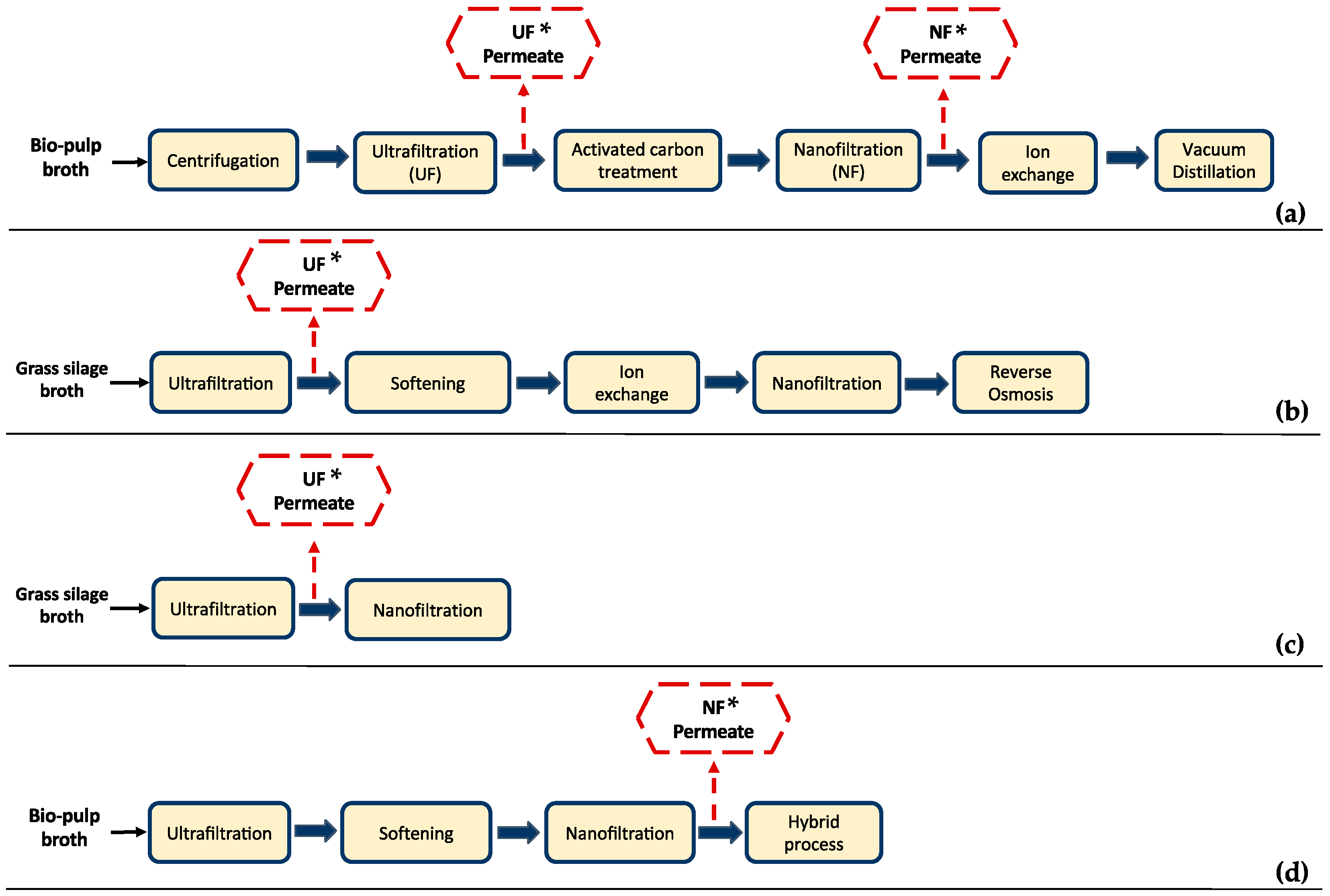 Bioengineering 11 00412 g001