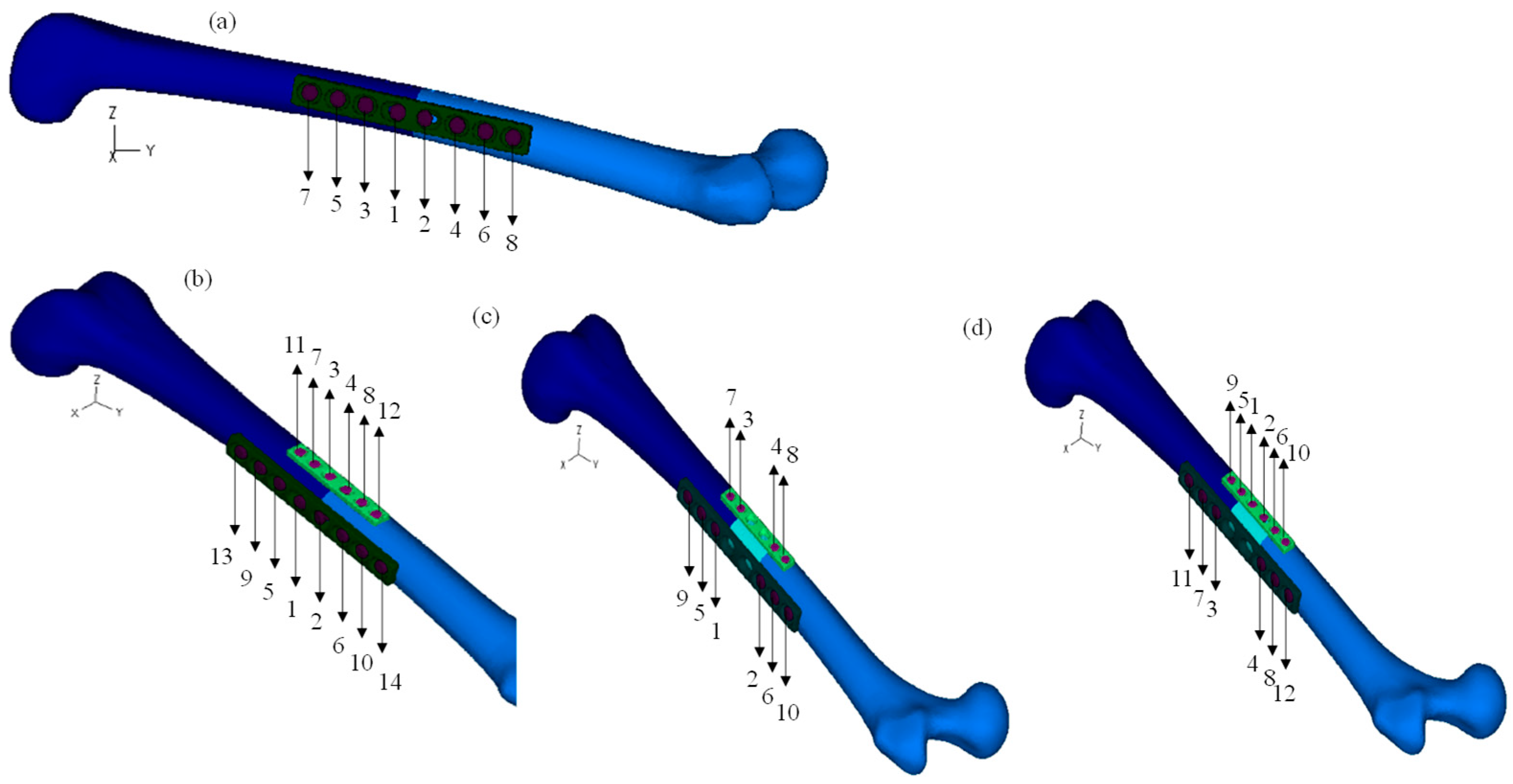 Bioengineering 11 00416 g002