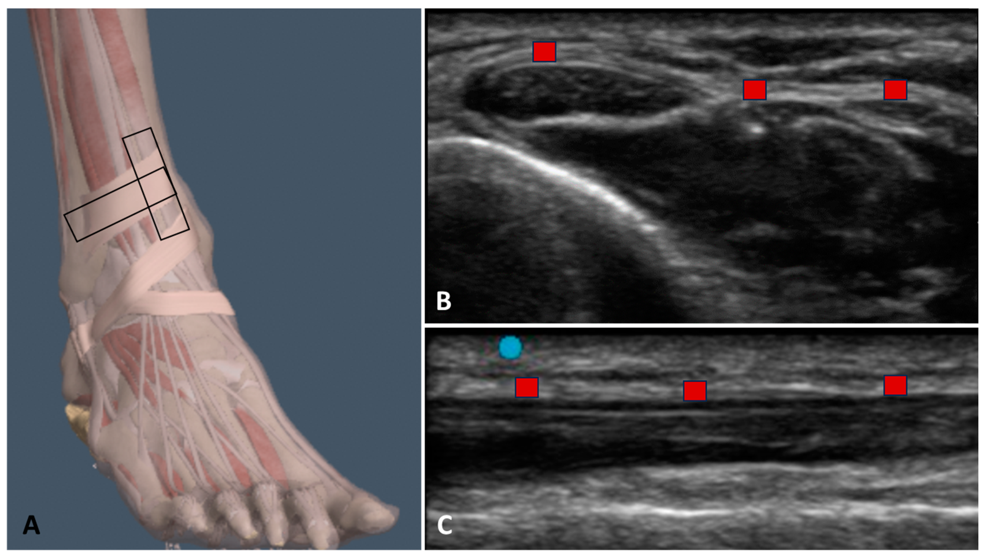 Bioengineering 11 00419 g001