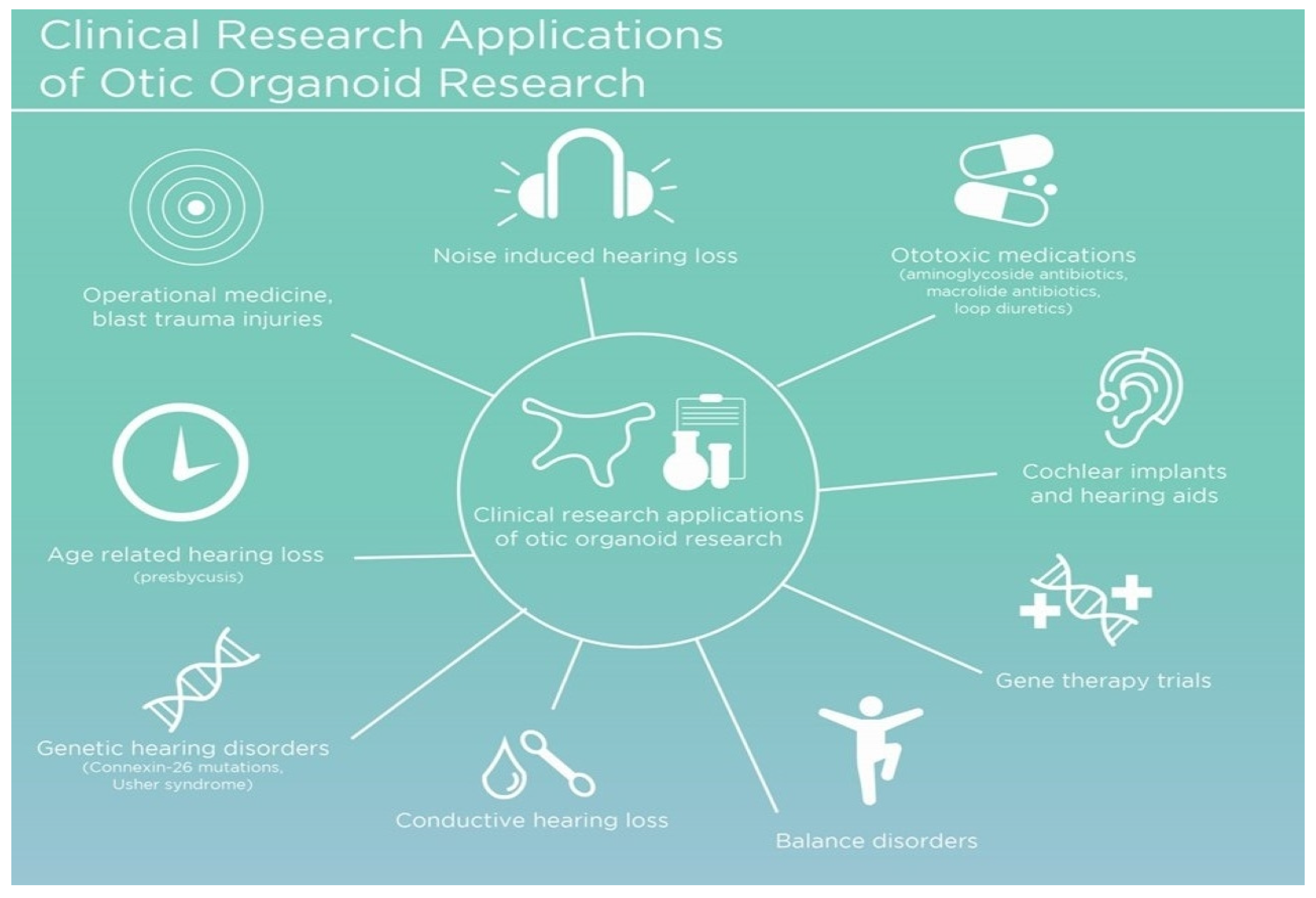 Bioengineering 11 00425 g002 Bioengineering 11 00425 g002