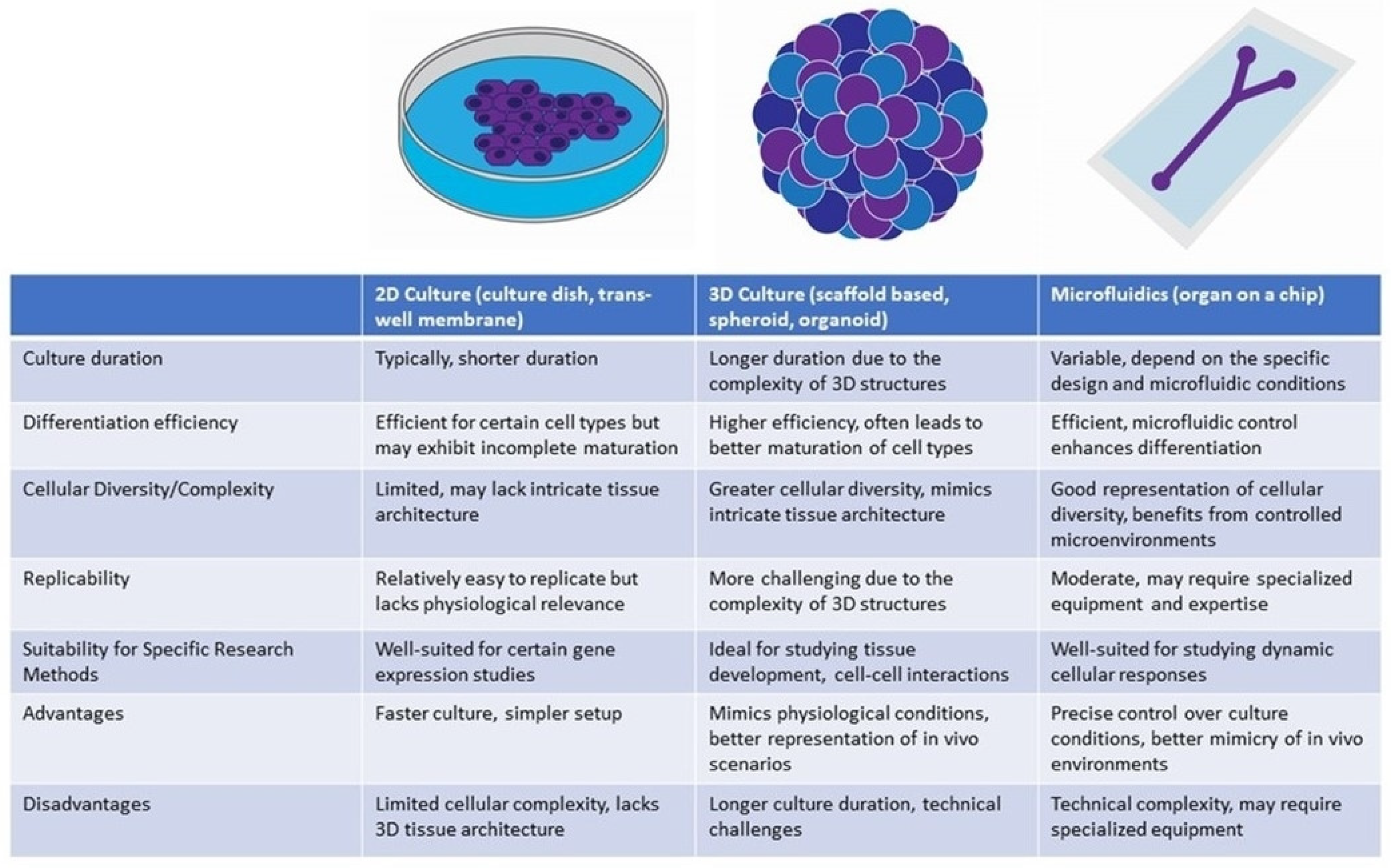 Bioengineering 11 00425 g004 Bioengineering 11 00425 g004