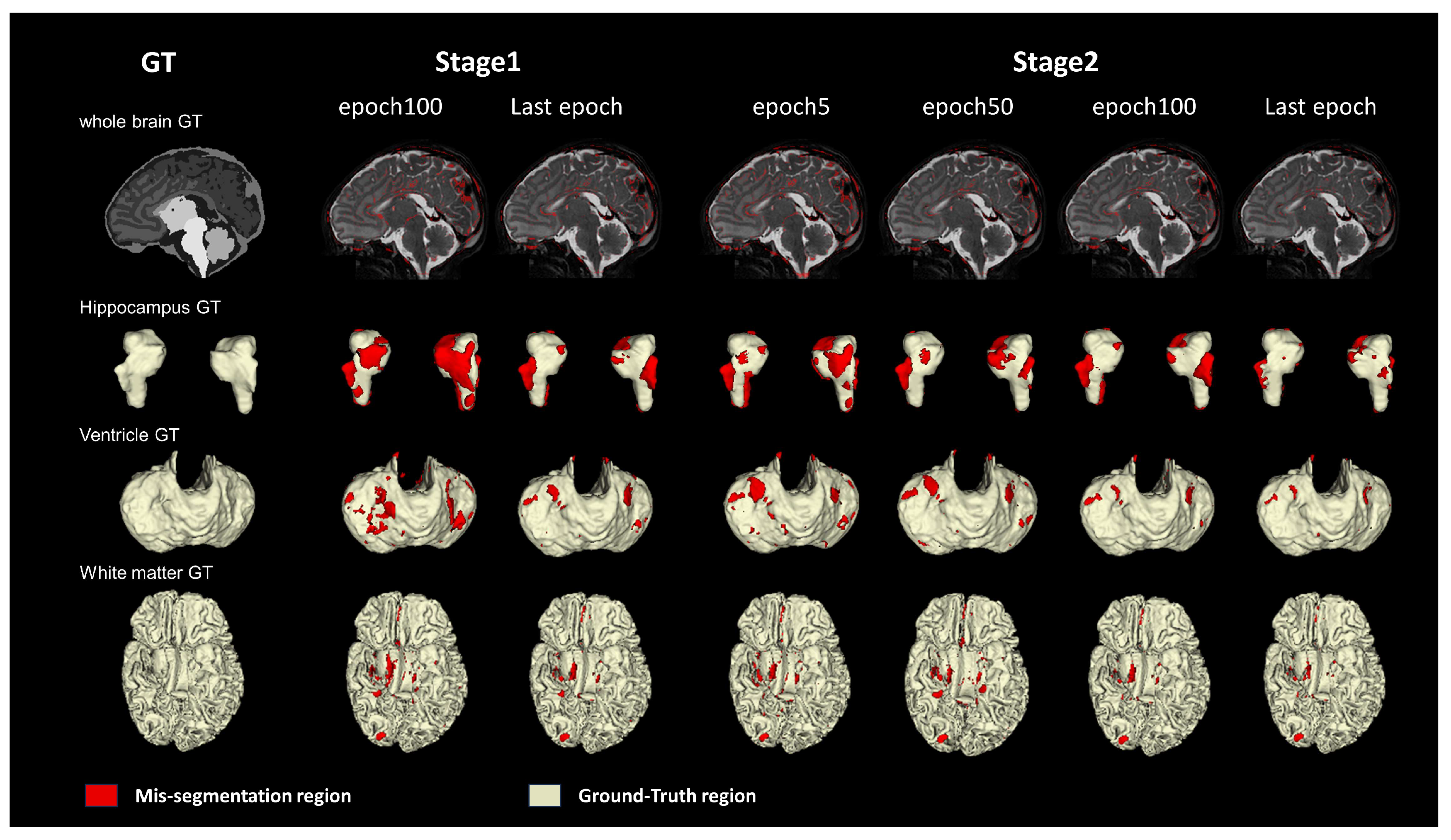 Bioengineering 11 00427 g005