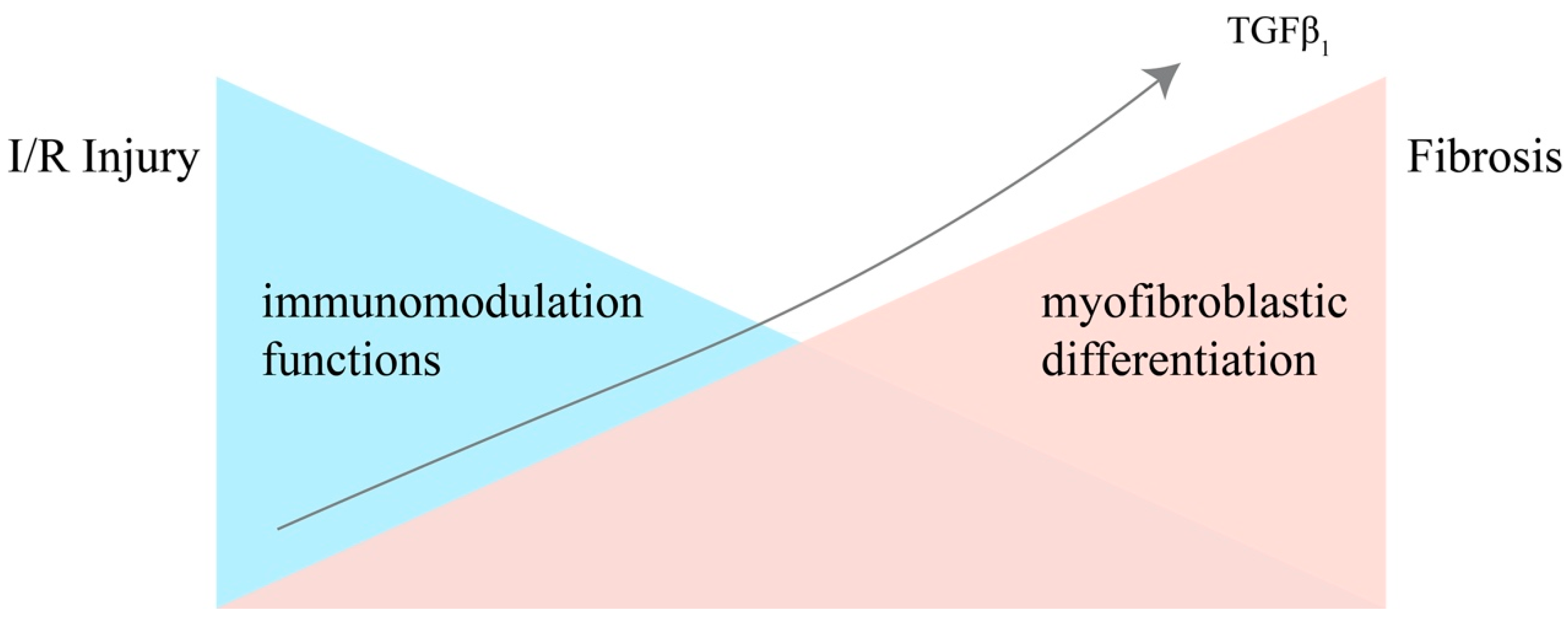 Bioengineering 11 00432 g001
