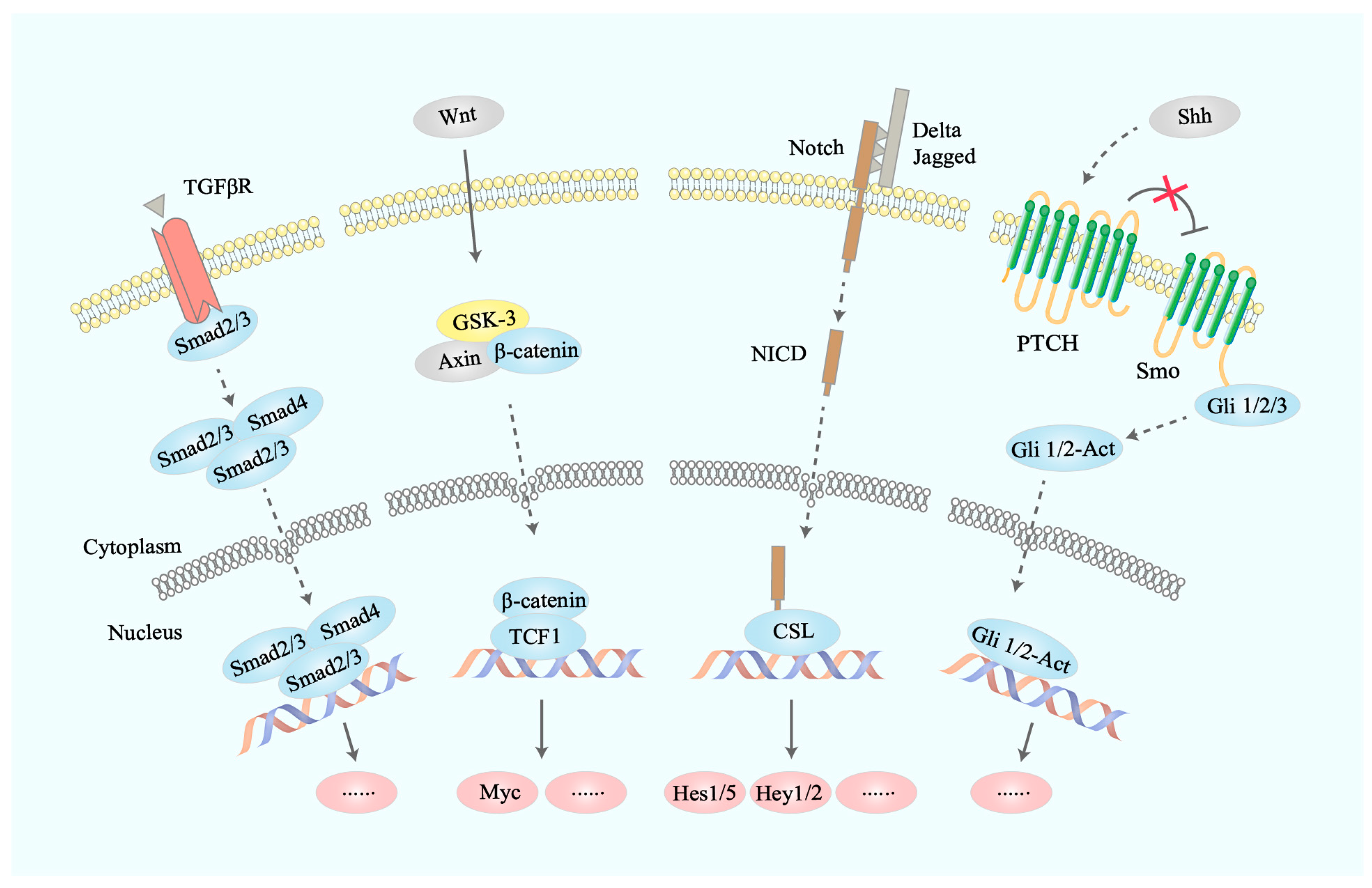 Bioengineering 11 00432 g003