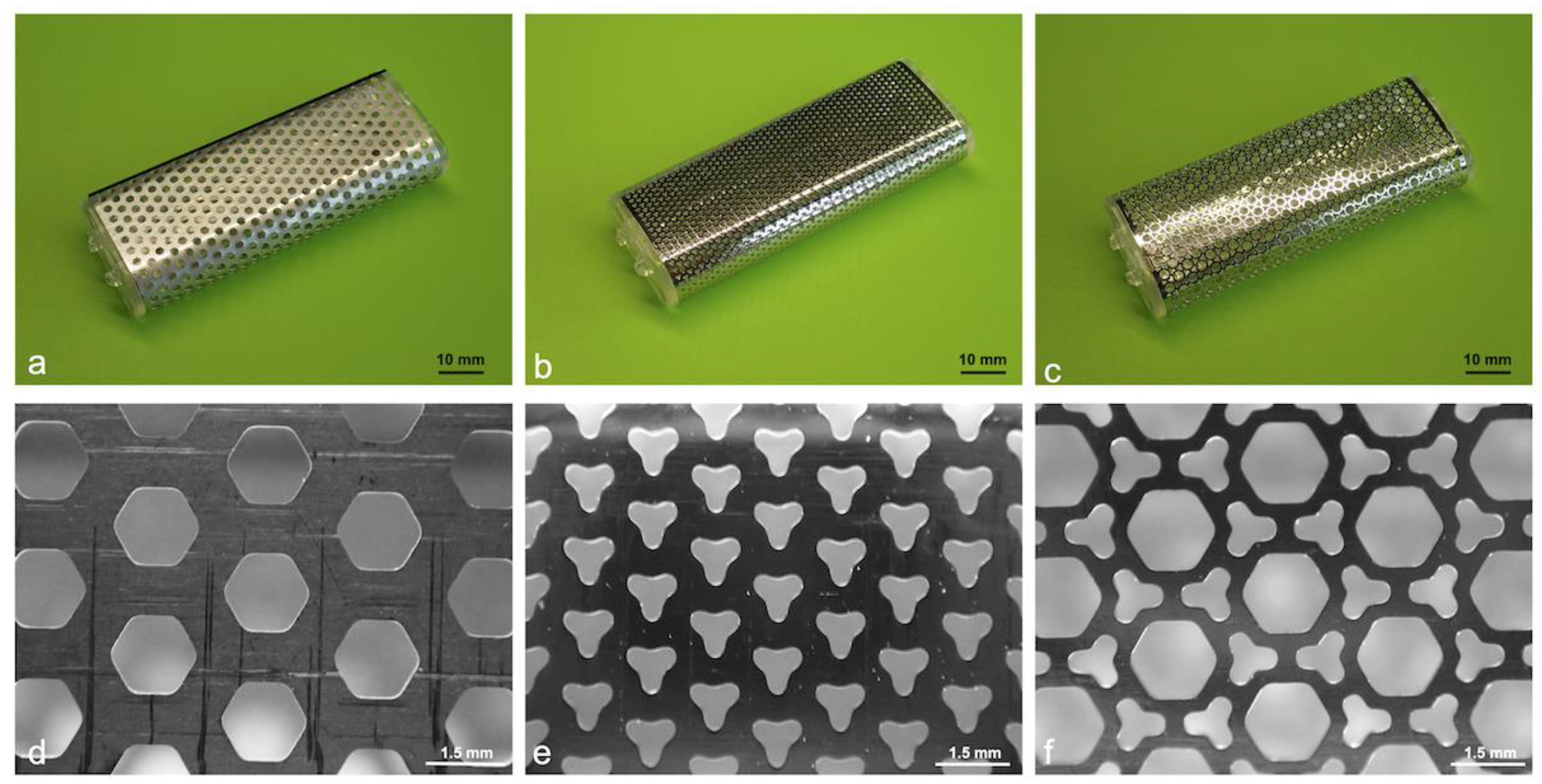 Bioengineering 11 00435 g001