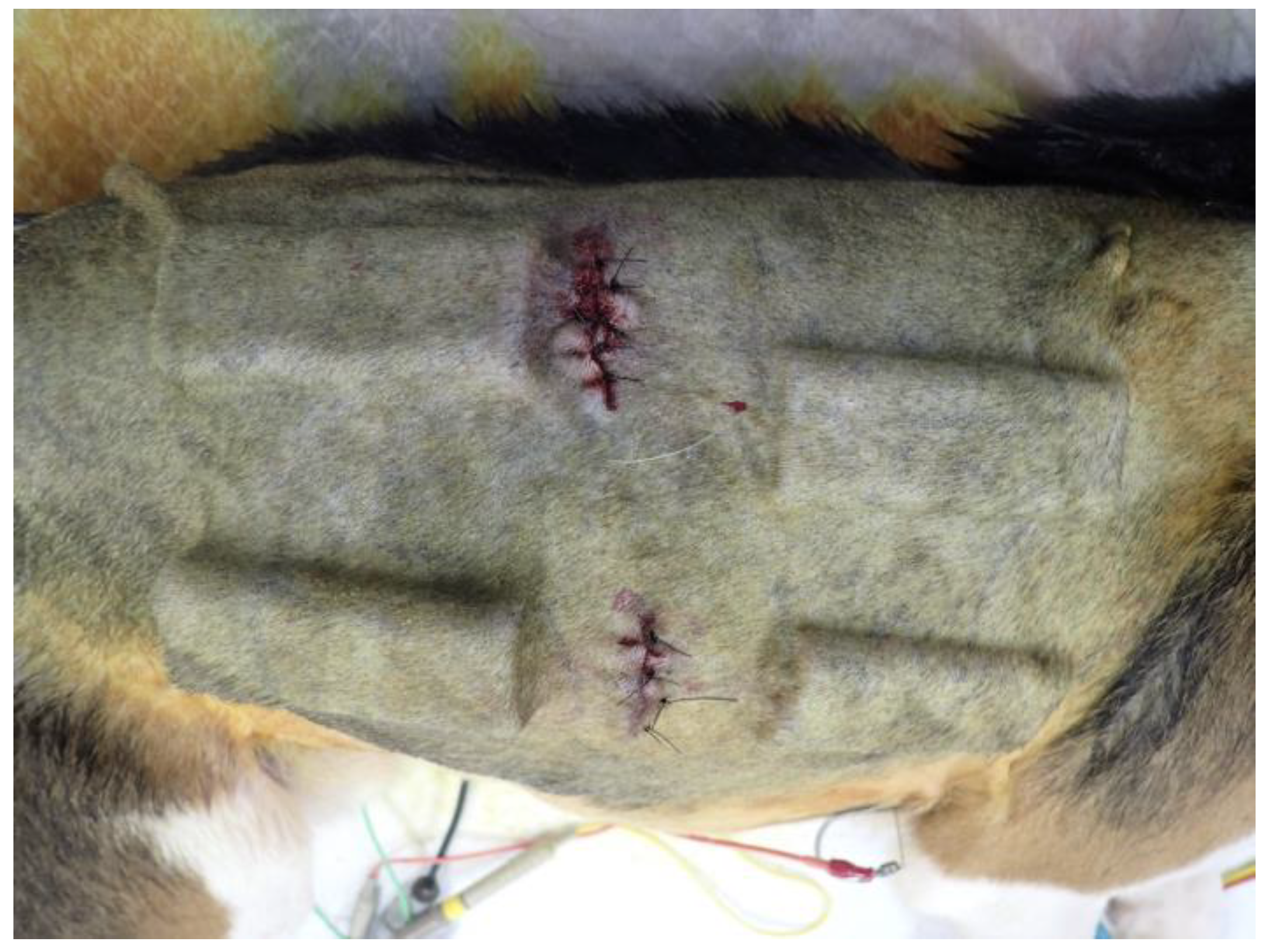 Bioengineering 11 00435 g002