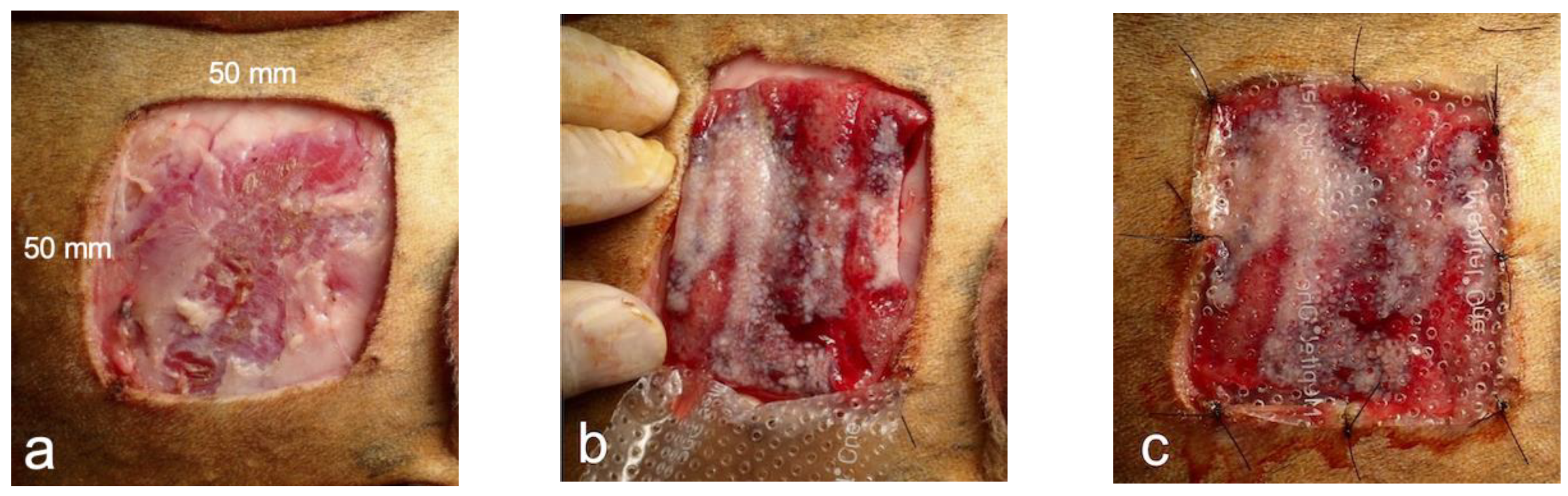 Bioengineering 11 00435 g003