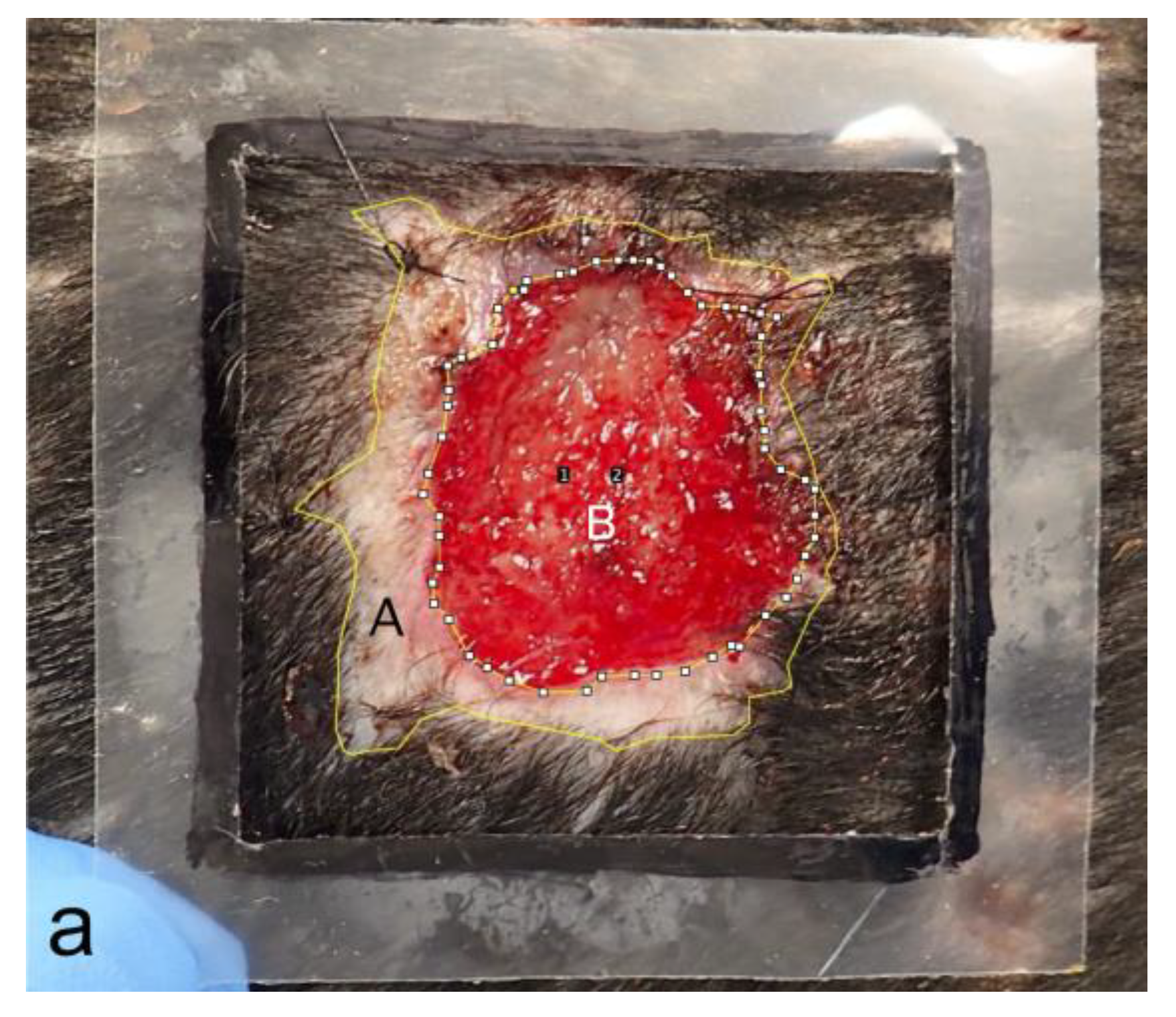 Bioengineering 11 00435 g008a